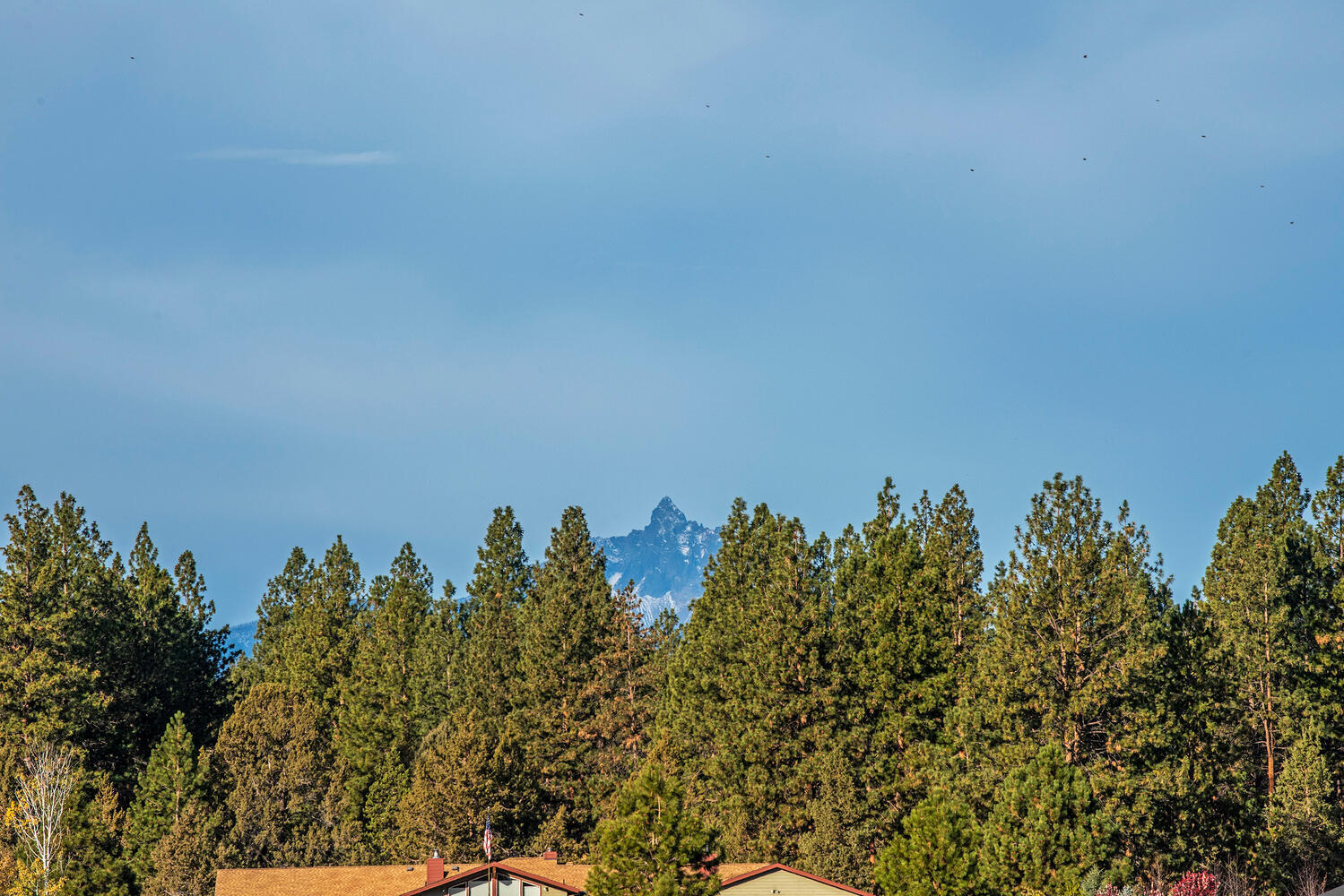Sage Meadow - Residential
