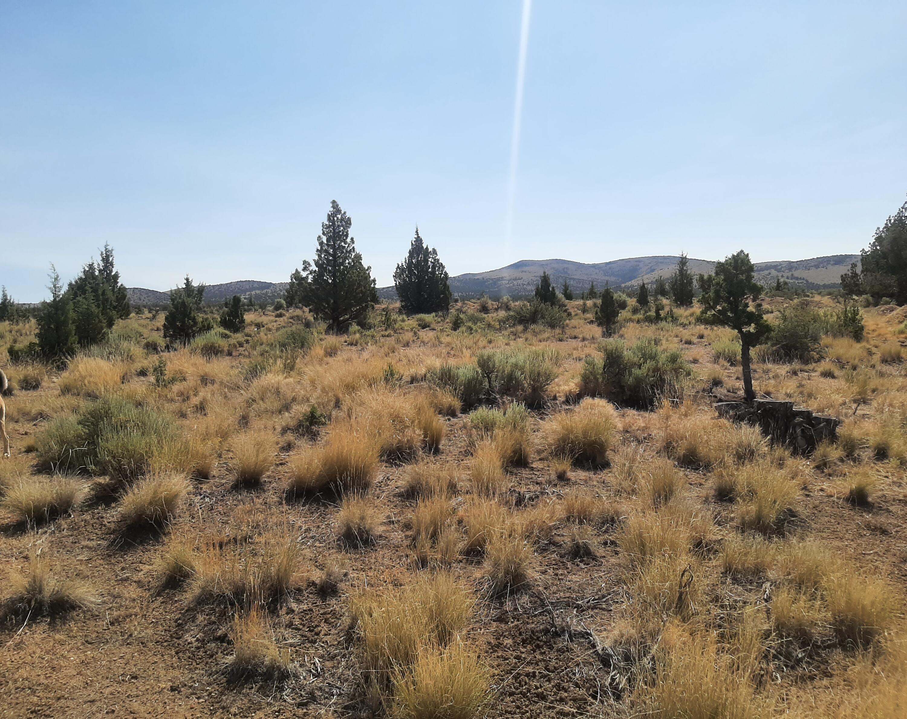 Juniper Acres - Land