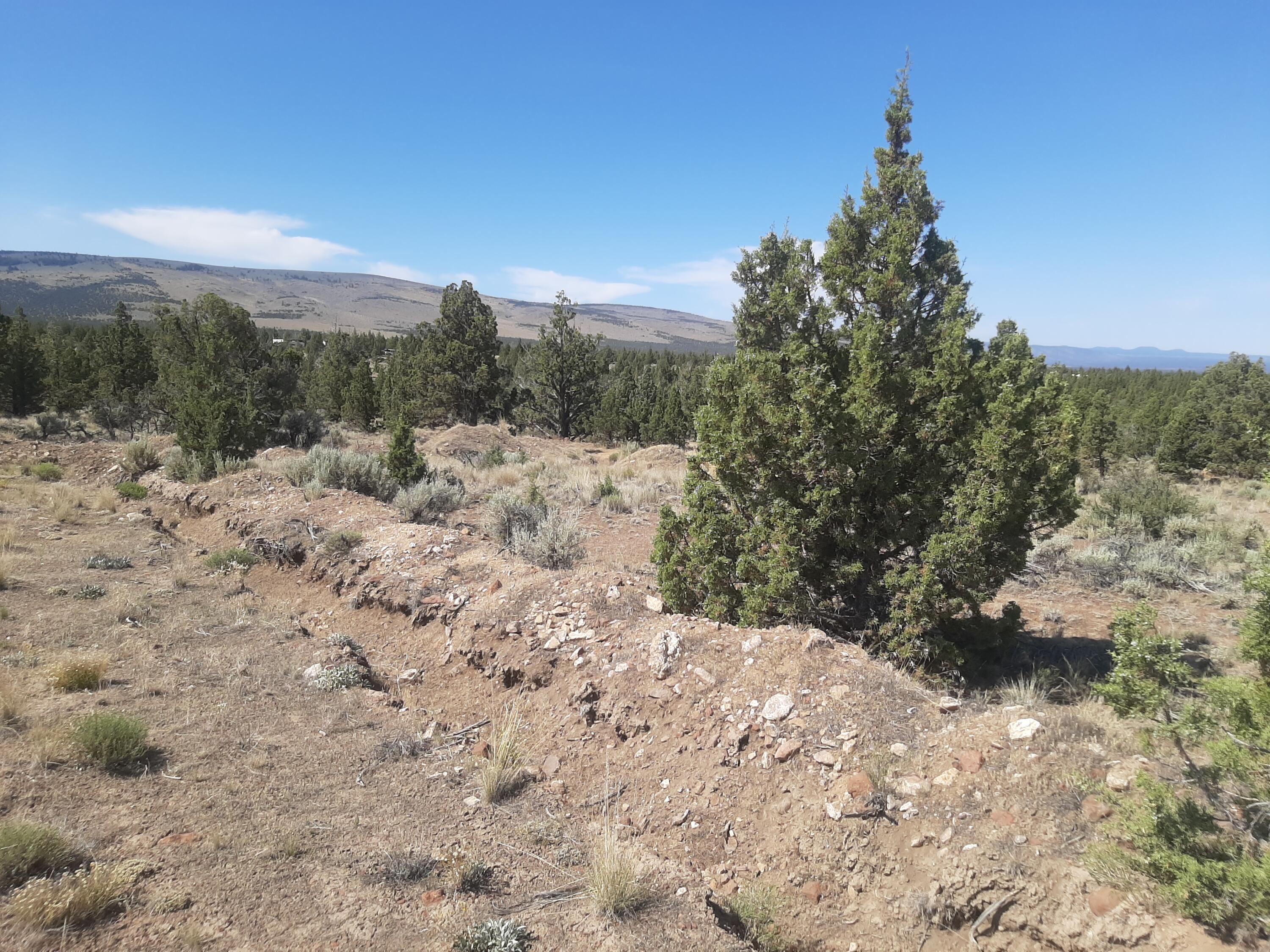 Juniper Acres - Land