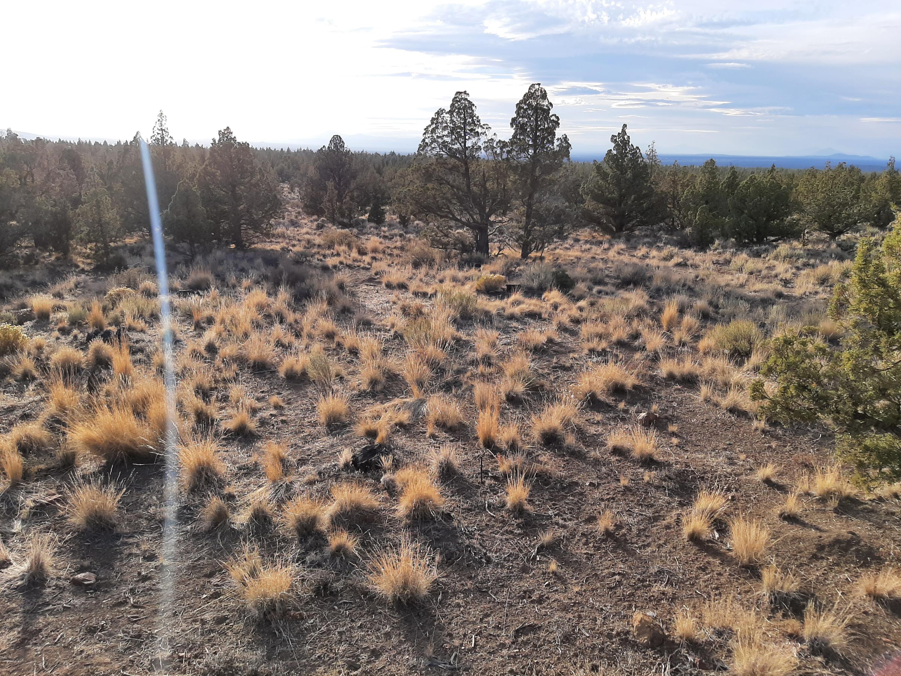 Juniper Acres - Land