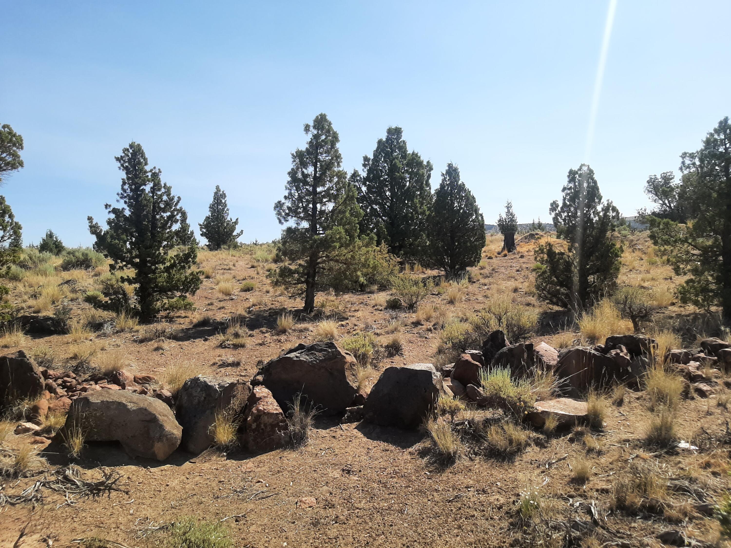 Juniper Acres - Land