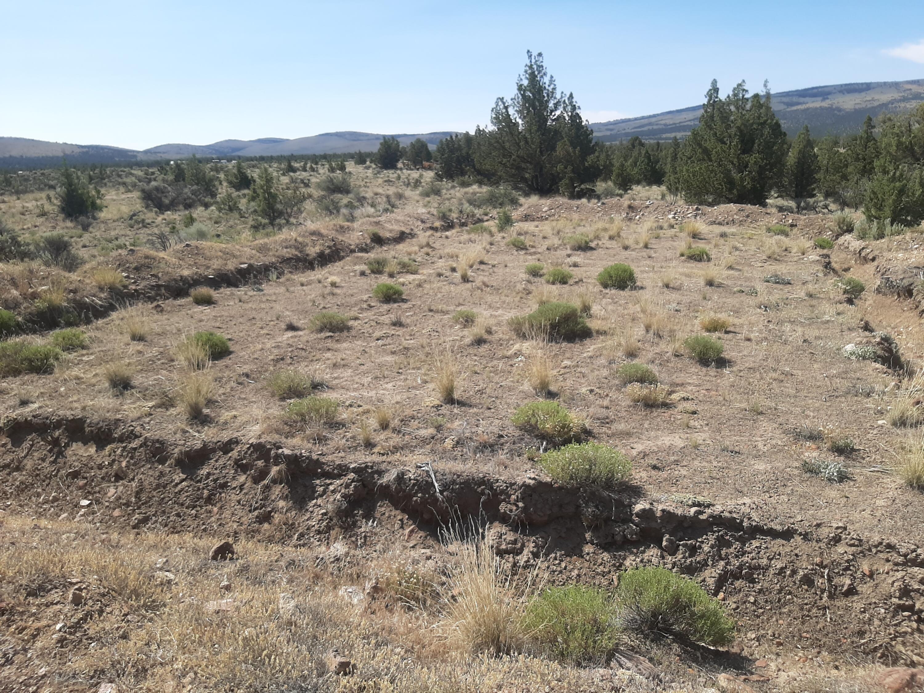 Juniper Acres - Land