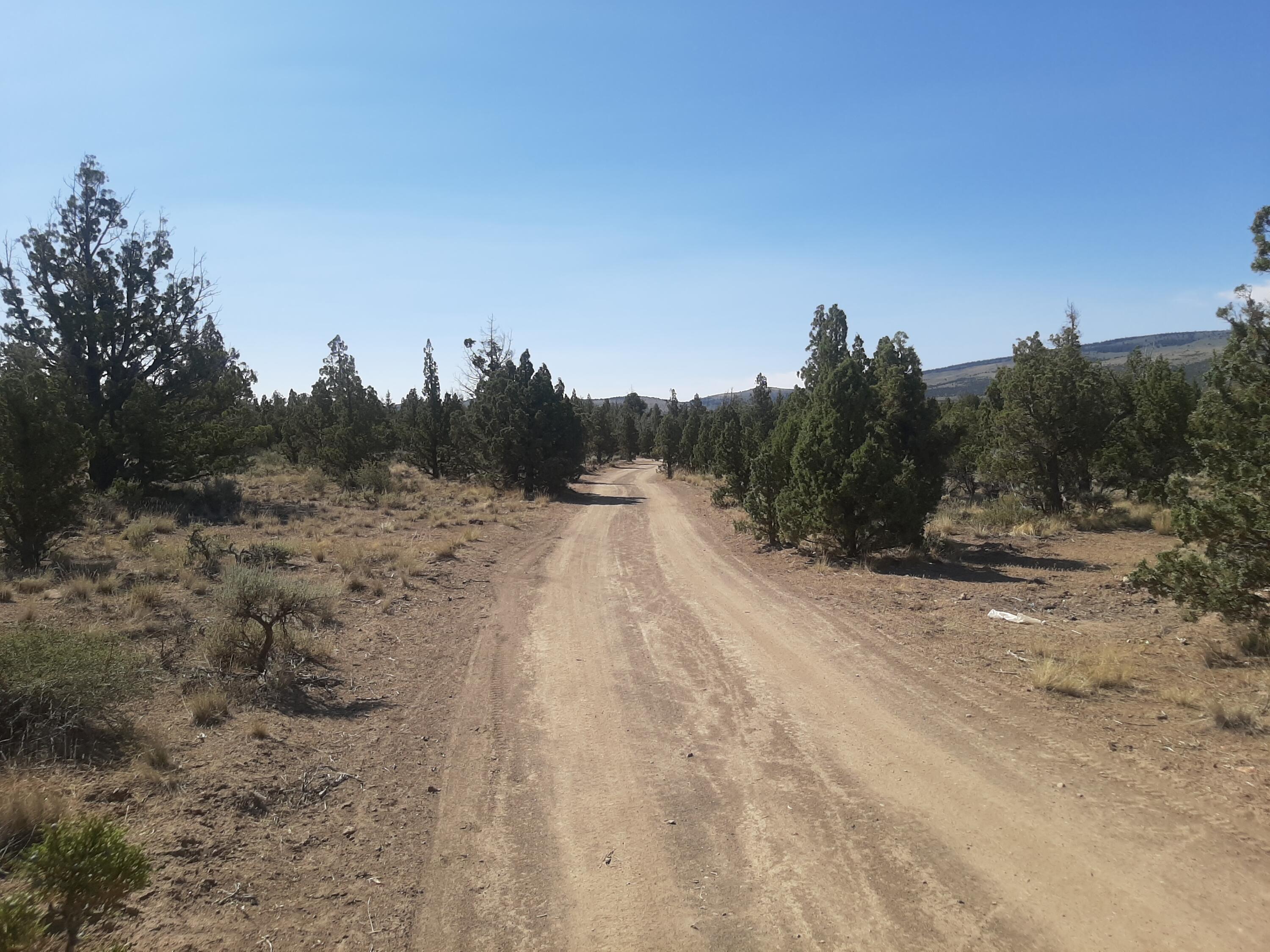 Juniper Acres - Land