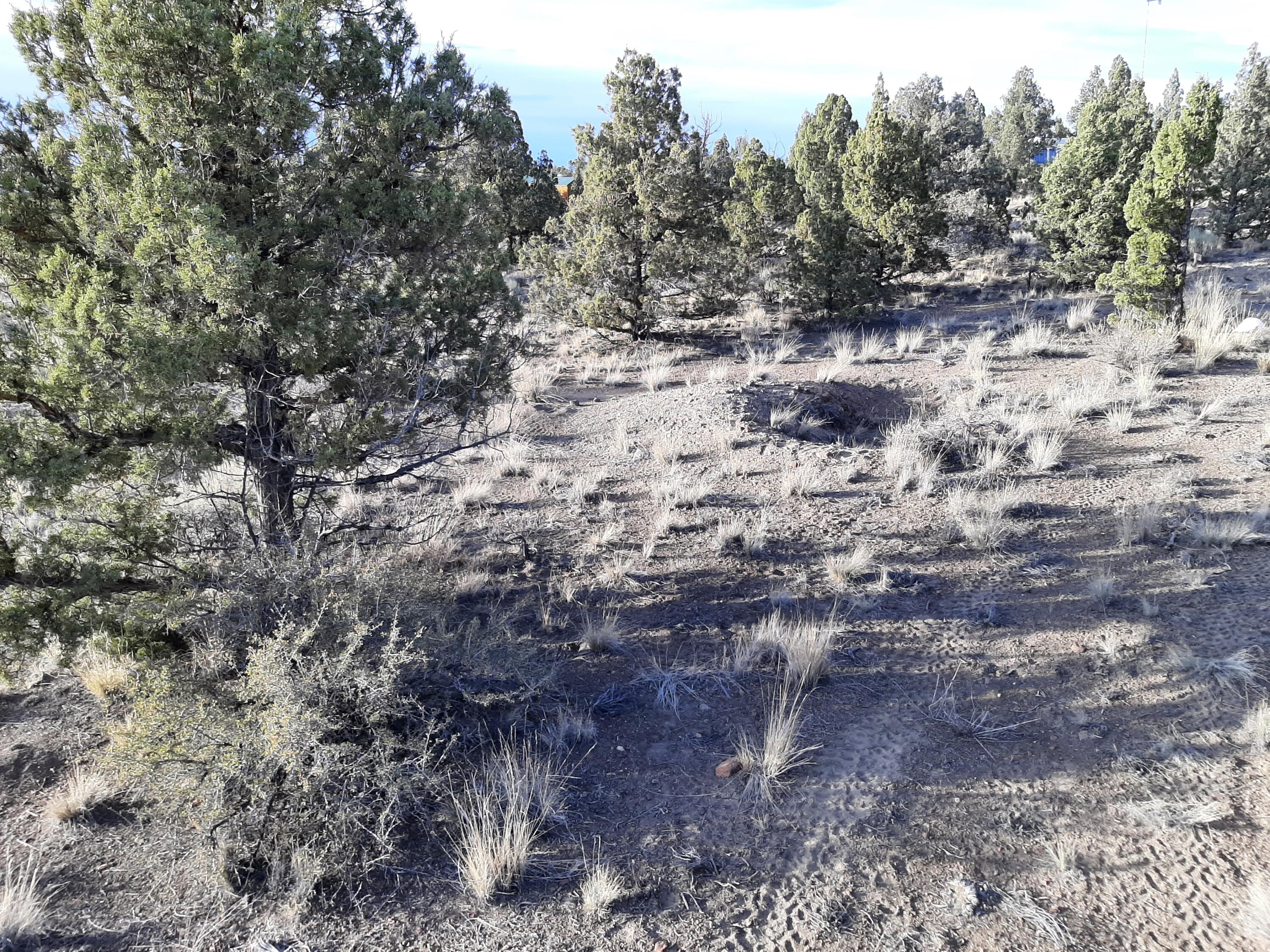 Juniper Acres - Land