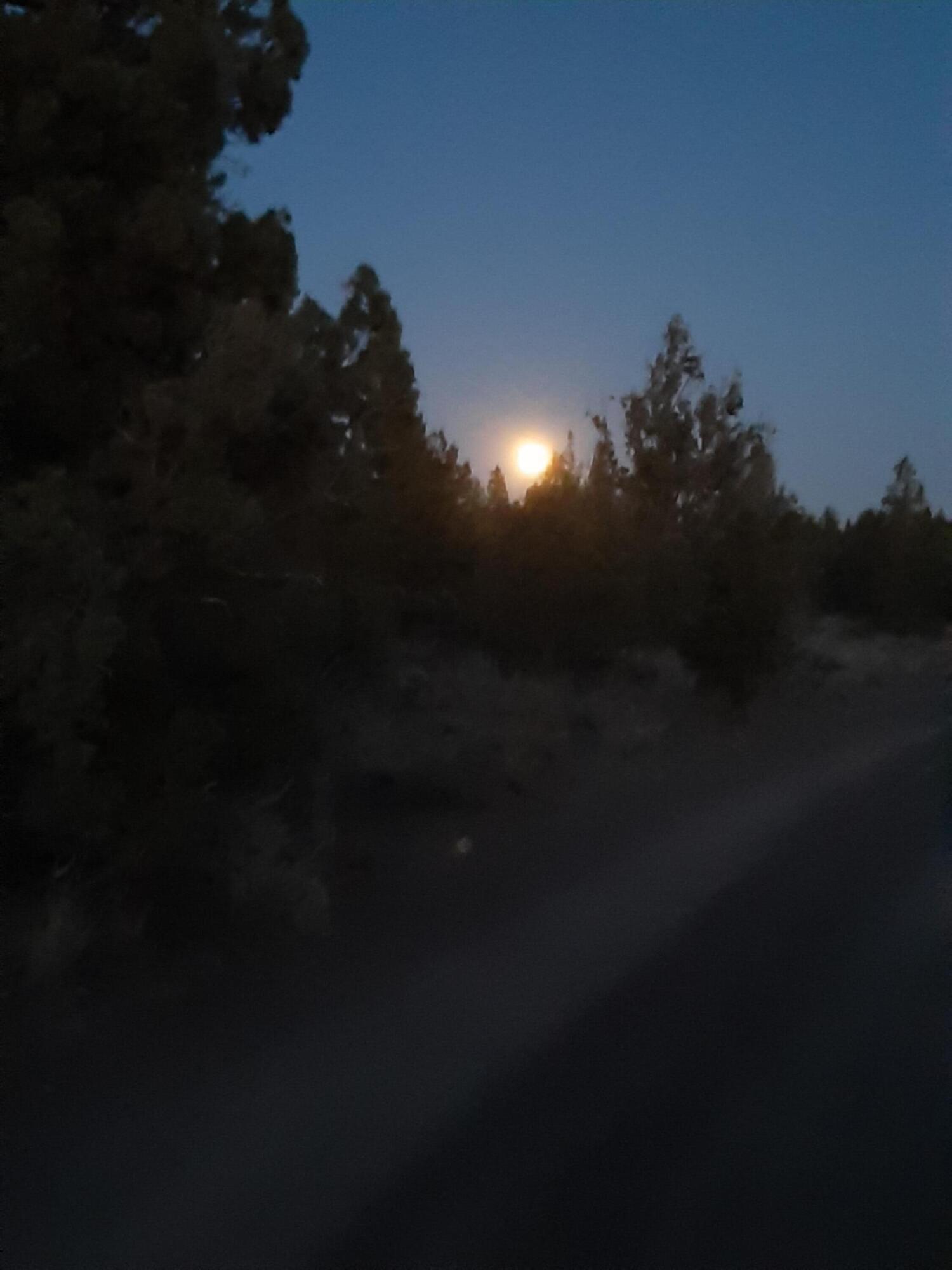 Juniper Acres - Land