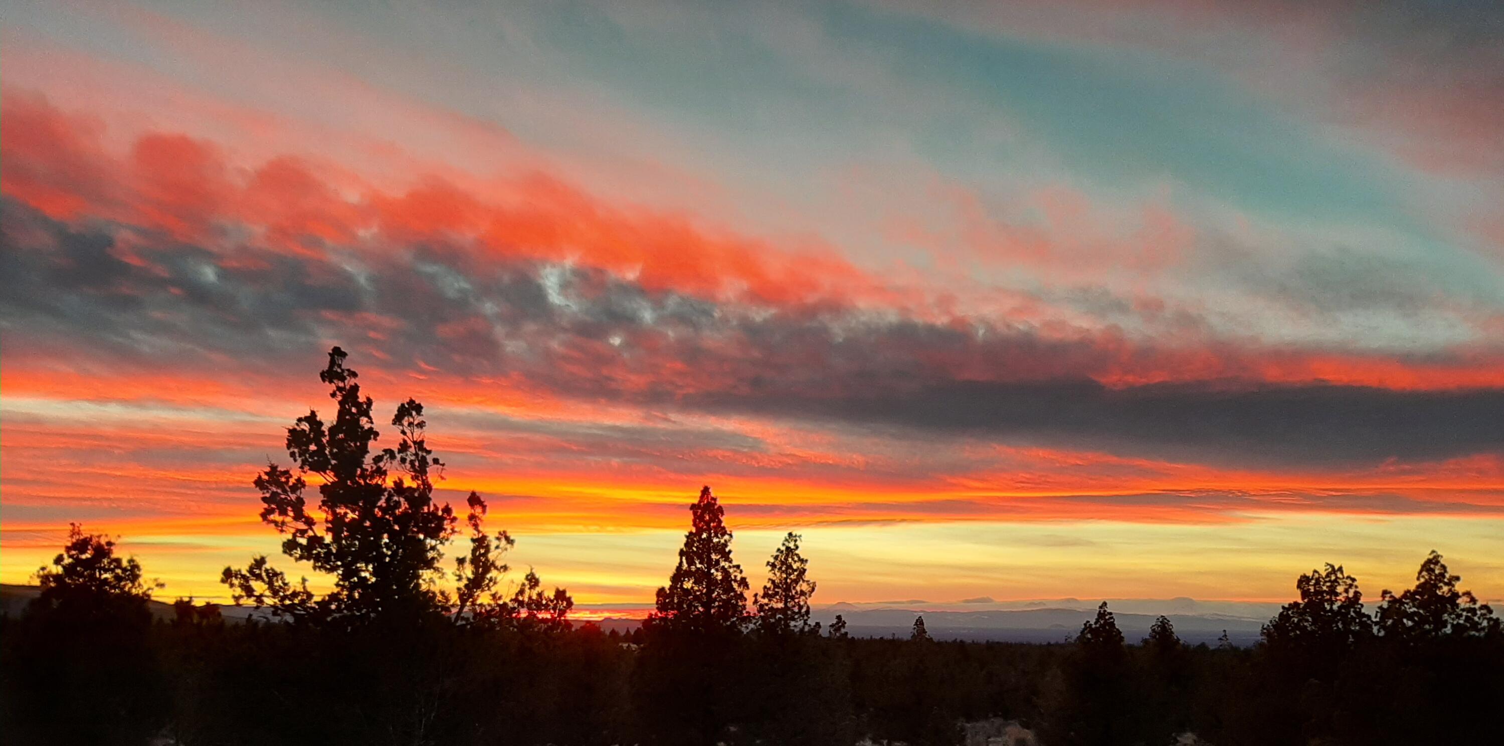 Juniper Acres - Land