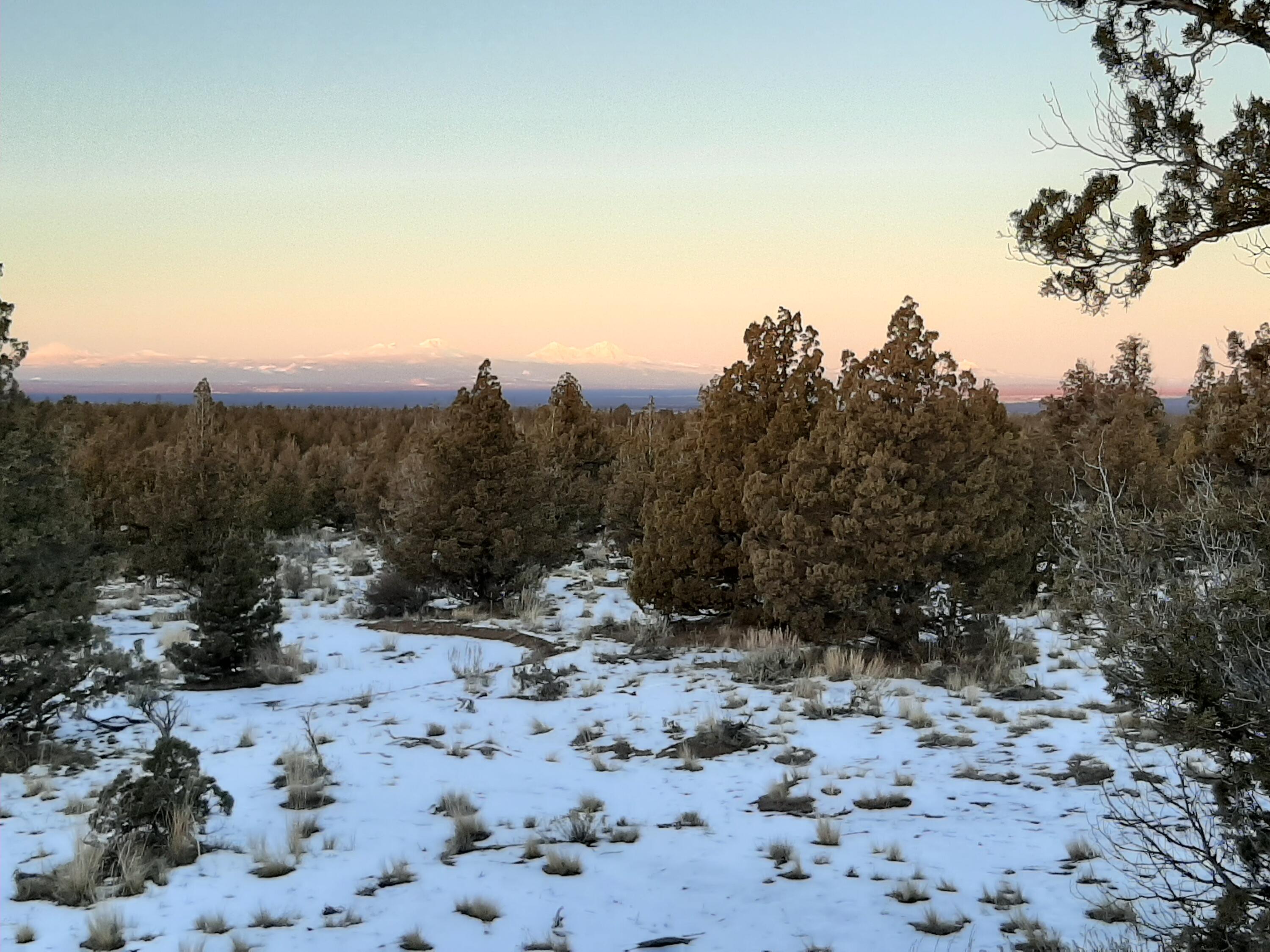 Juniper Acres - Land