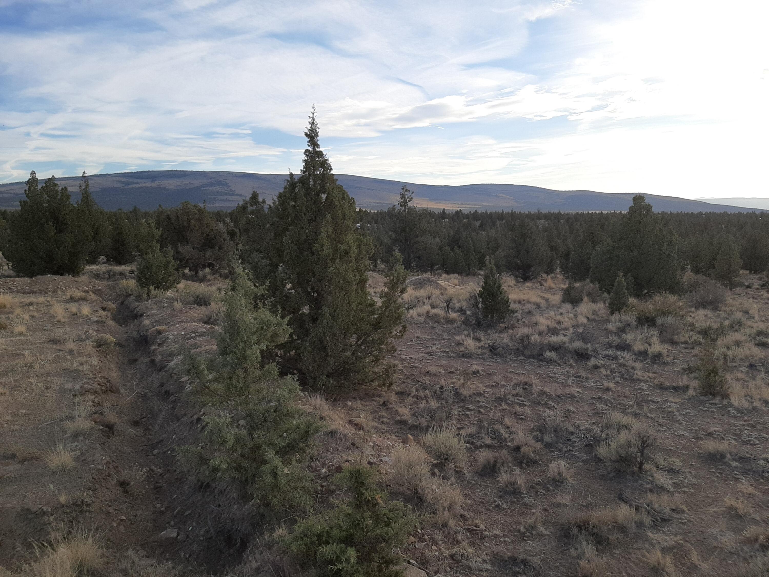 Juniper Acres - Land