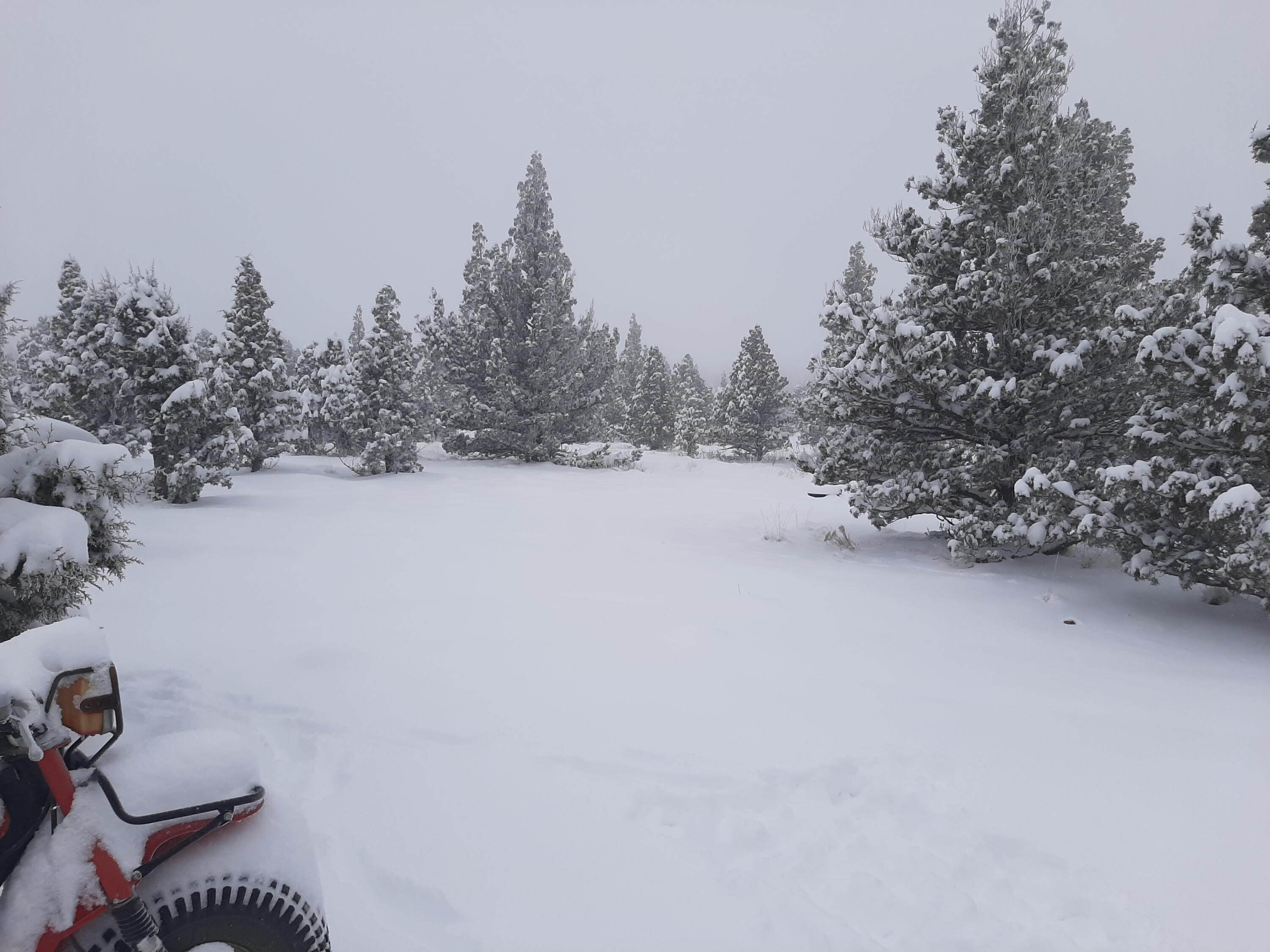 Juniper Acres - Land