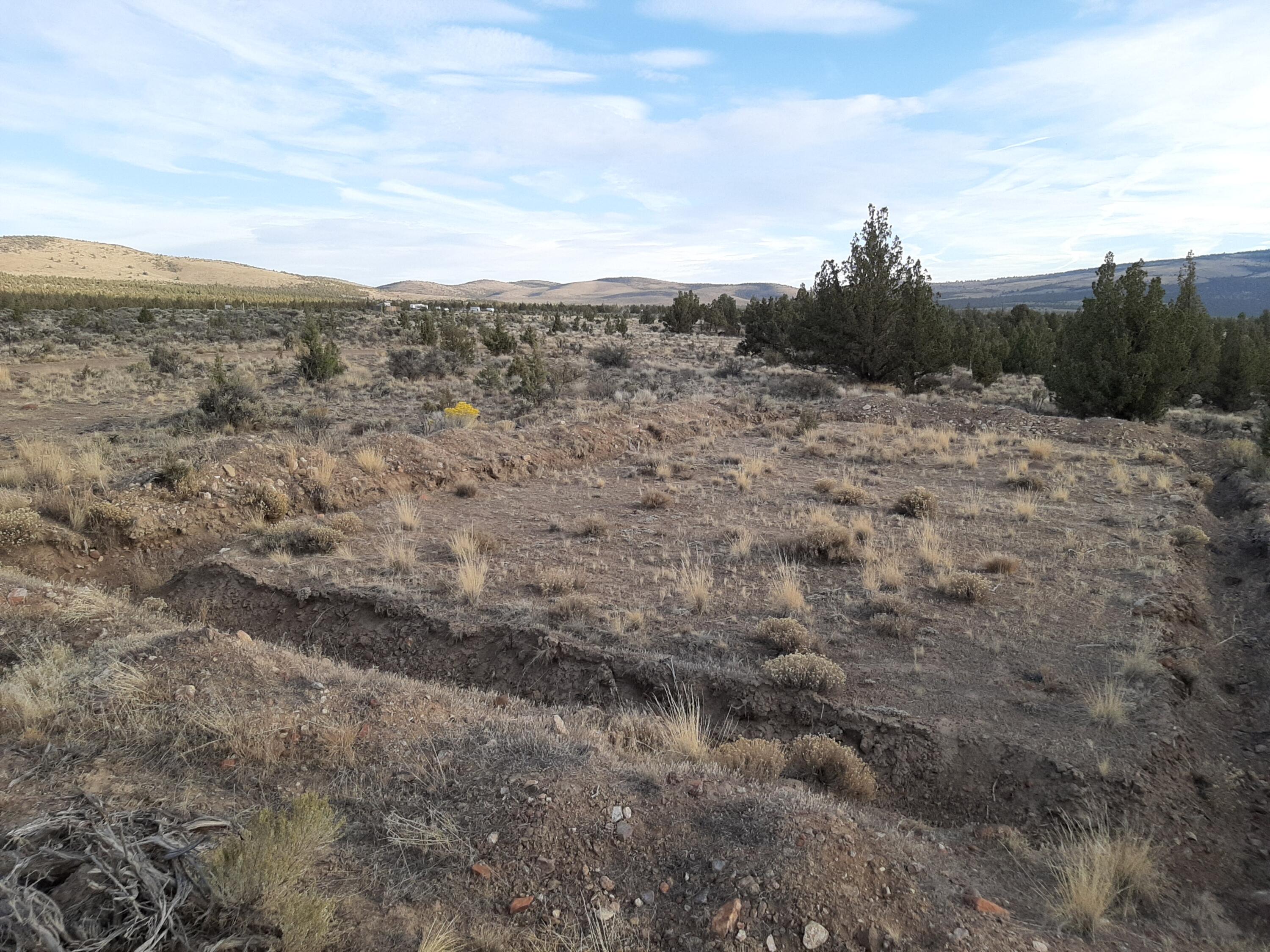 Juniper Acres - Land