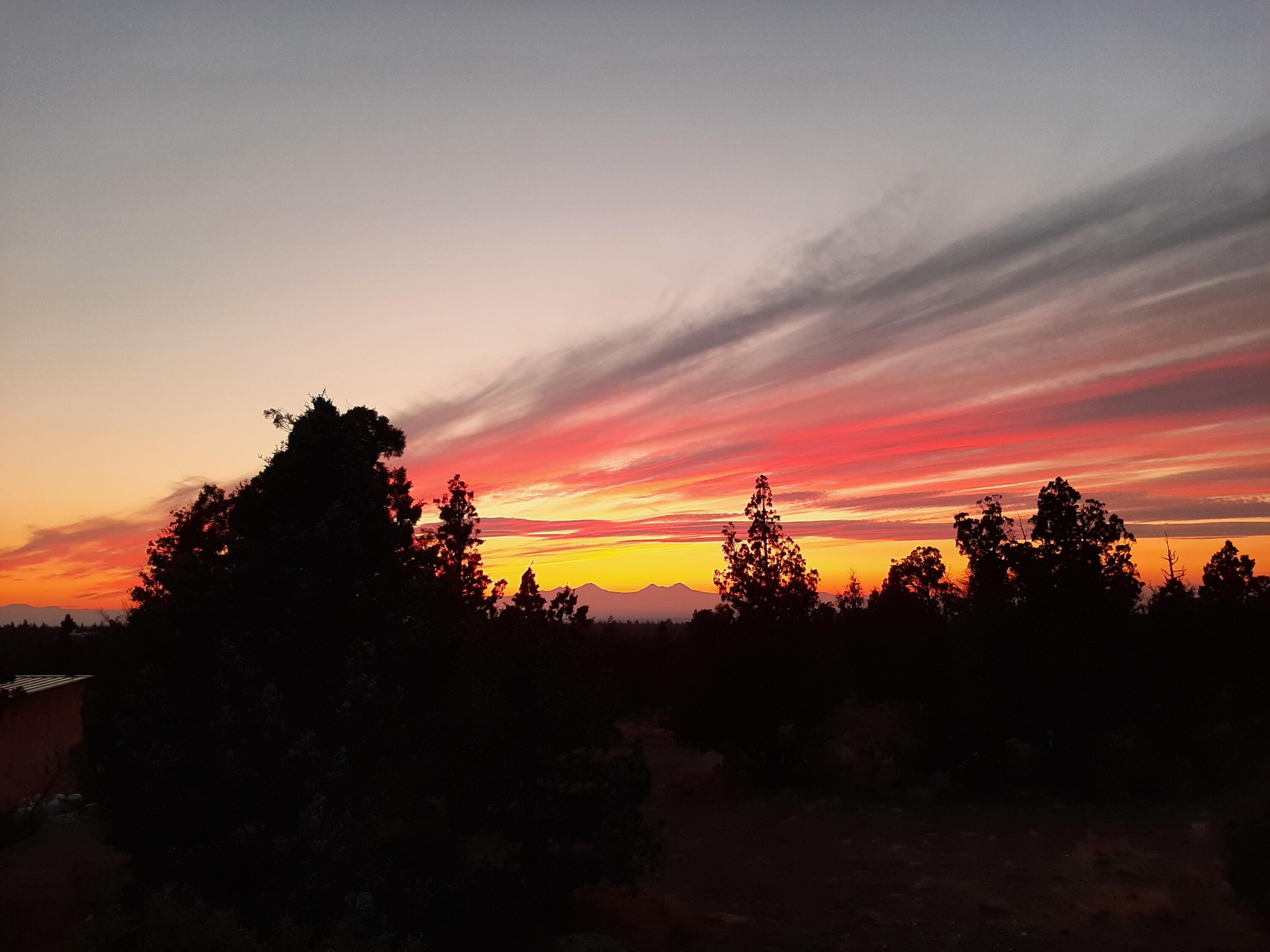 Juniper Acres - Land