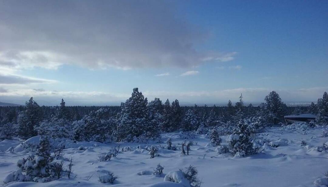 Juniper Acres - Land