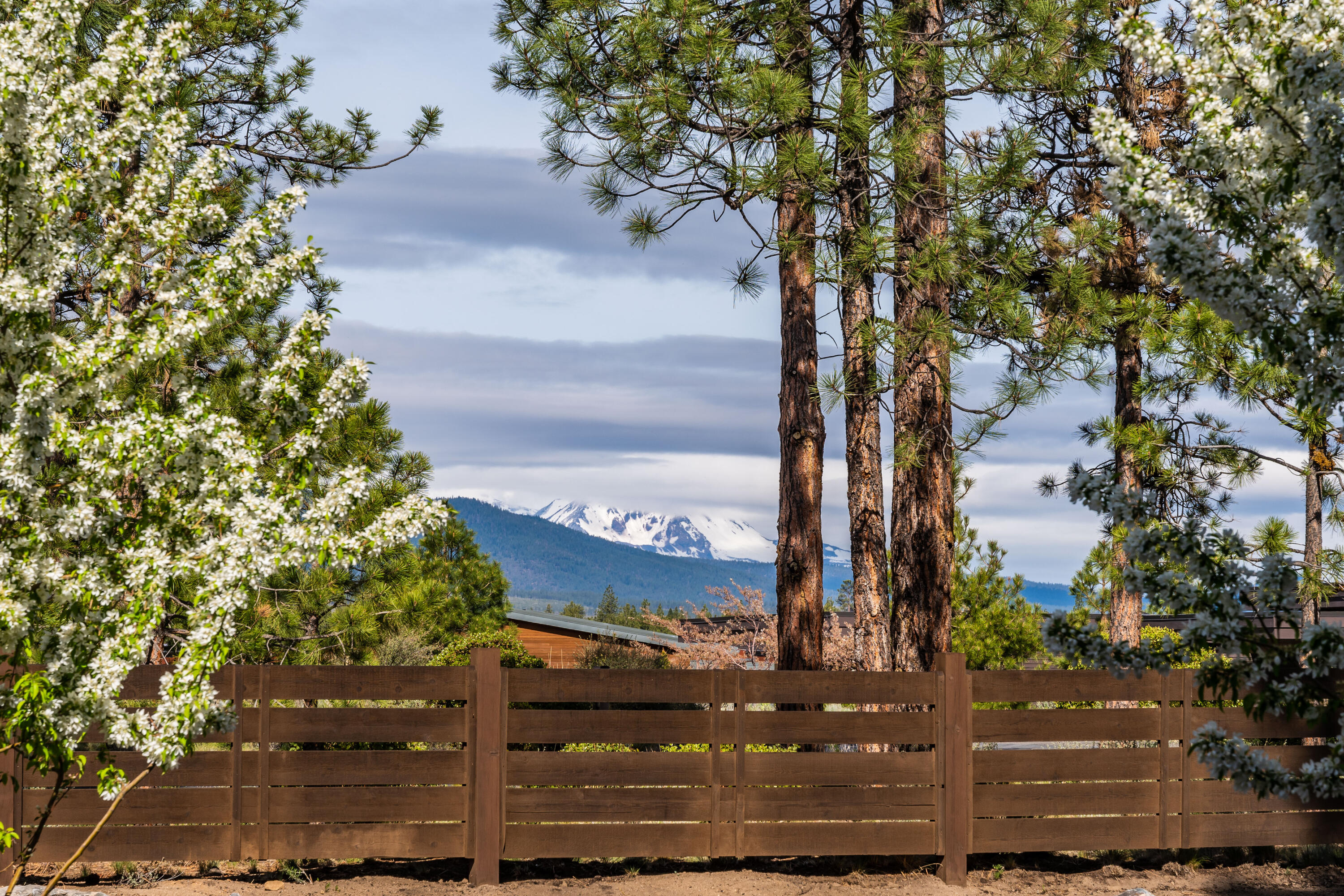 Three Pines - Residential