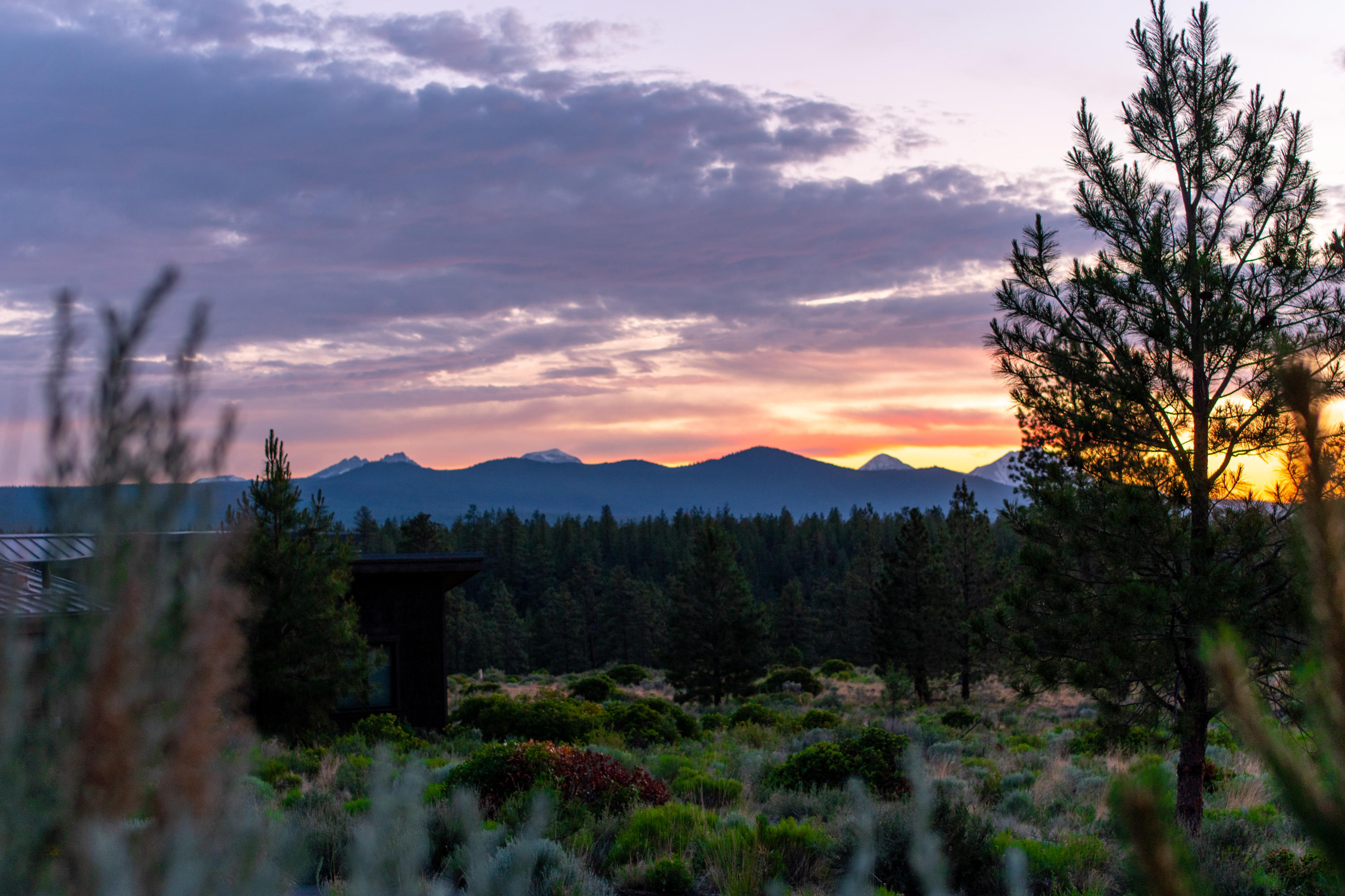 Shevlin Commons - Residential