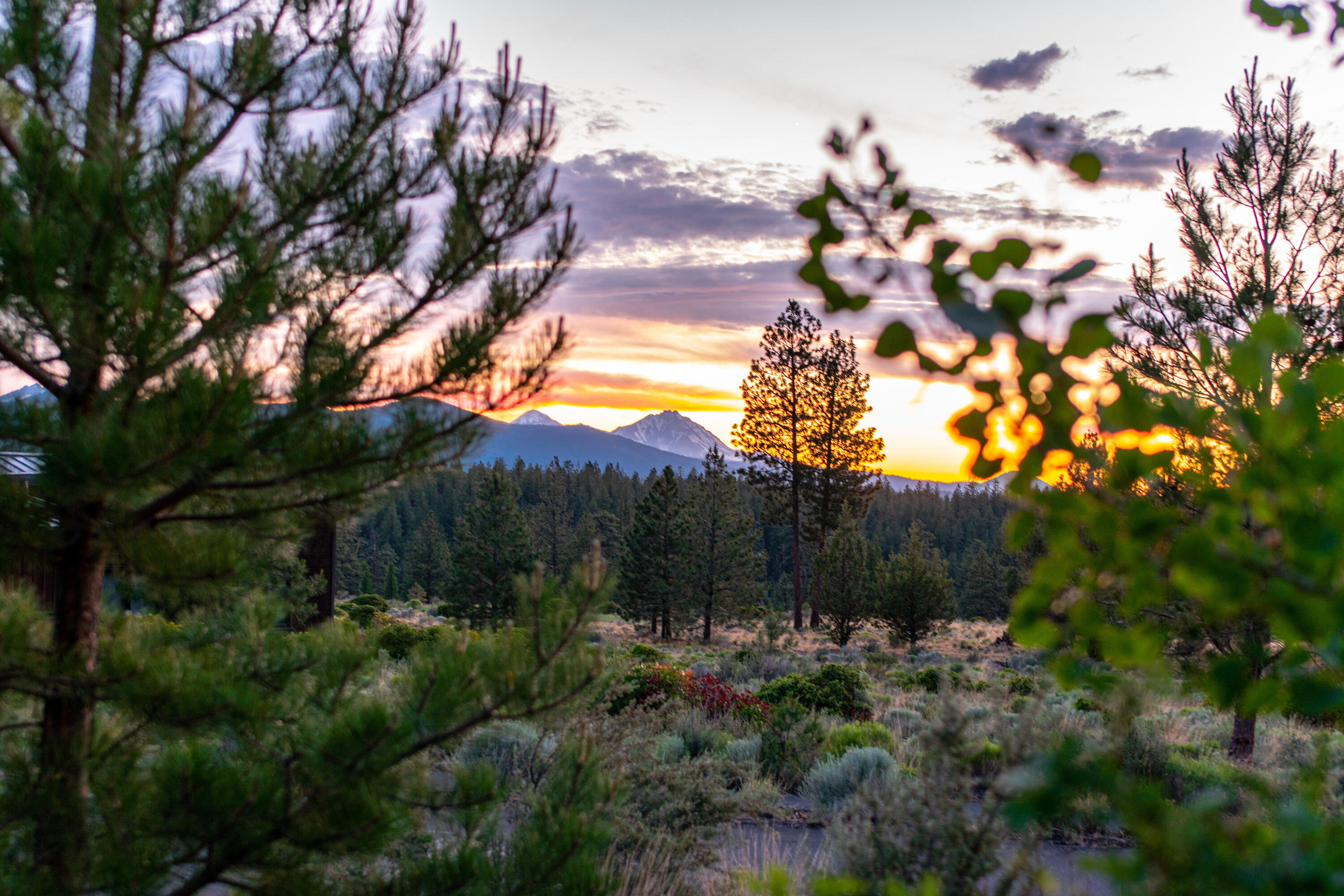 Shevlin Commons - Residential