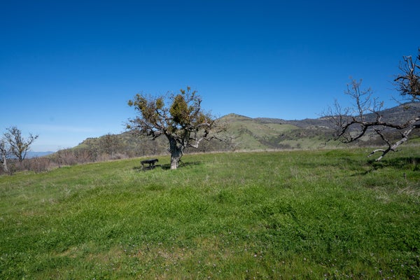560 CANYON HILLS DR, MEDFORD, OR 97504 - Image 3e5992fc4861e42fcdabb55b9275b1a4/2374186189