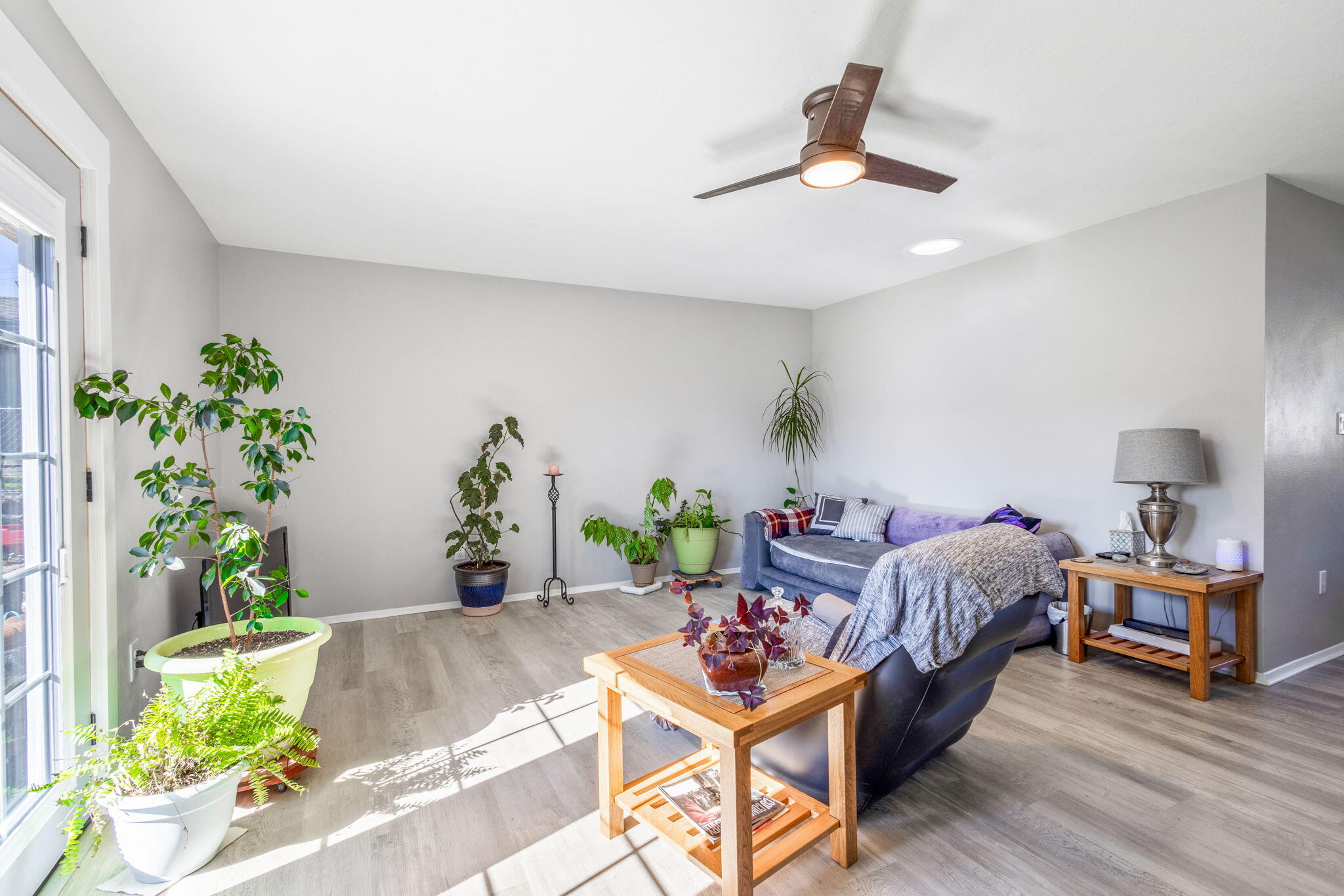 Palmain - Residential