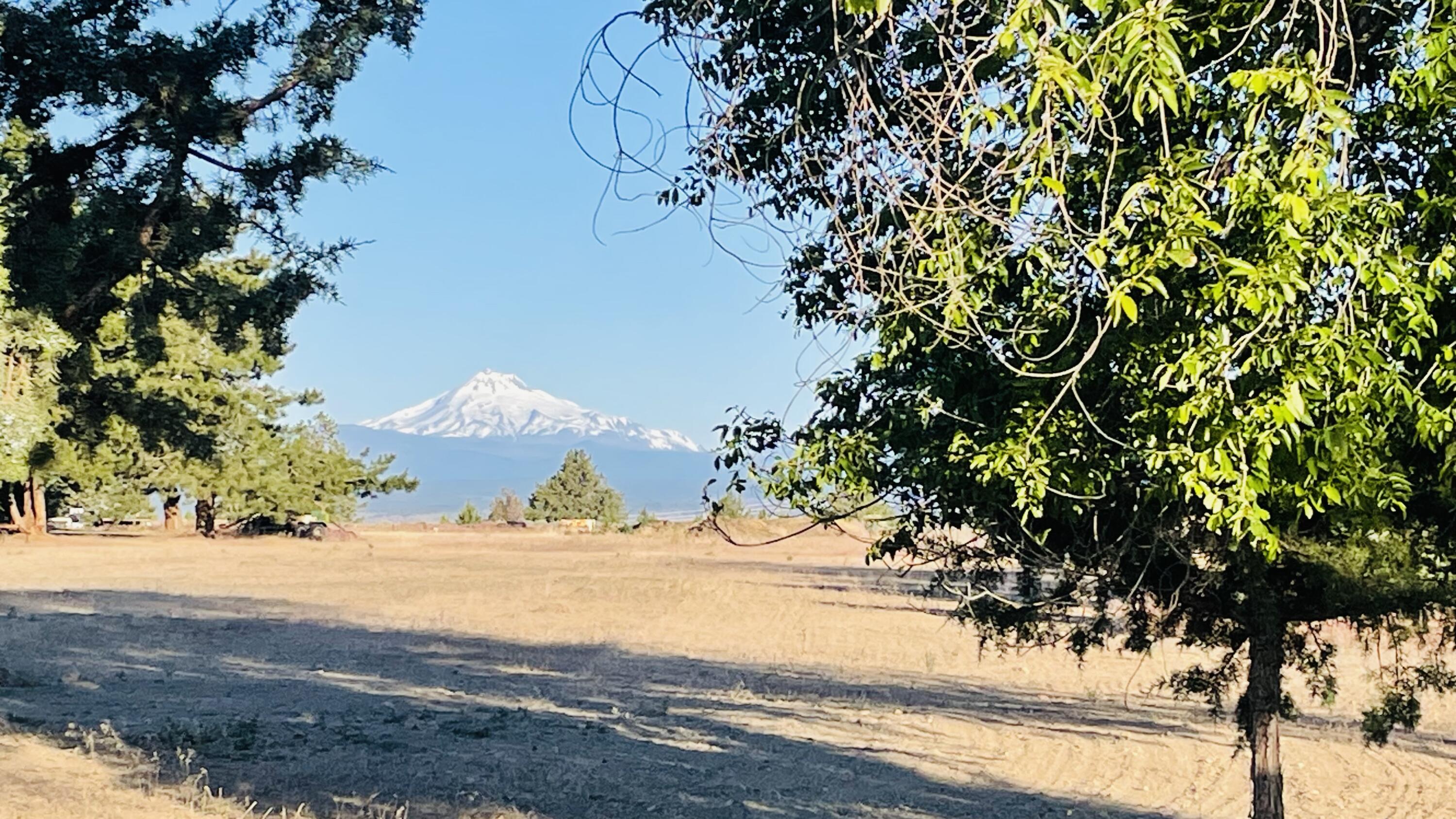 670 NE Cherry Lane Lot 4