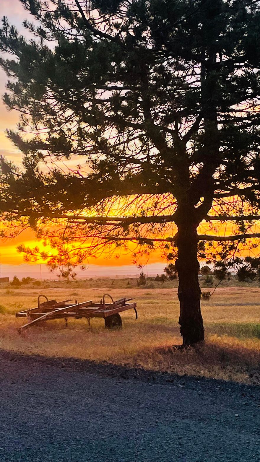 The last 2 acre buildable lot left on NE Cherry Lane!  With stunning Cascade views, end of the road privacy and wide open spaces surrounding. This location is a gem!  Build your dream home, shop, garden and grounds on this level 2 acre parcel with water and electric located at the street and standard septic feasibility in place.  From sun up to sun down, you'll breathe easy in this peaceful hideaway! (One owner is a licensed real estate broker in OR and WA.)