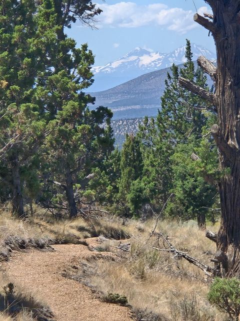 Tiny photo for 15900 SE Winchester Loop, Prineville, OR 97754 (MLS # 220217336)