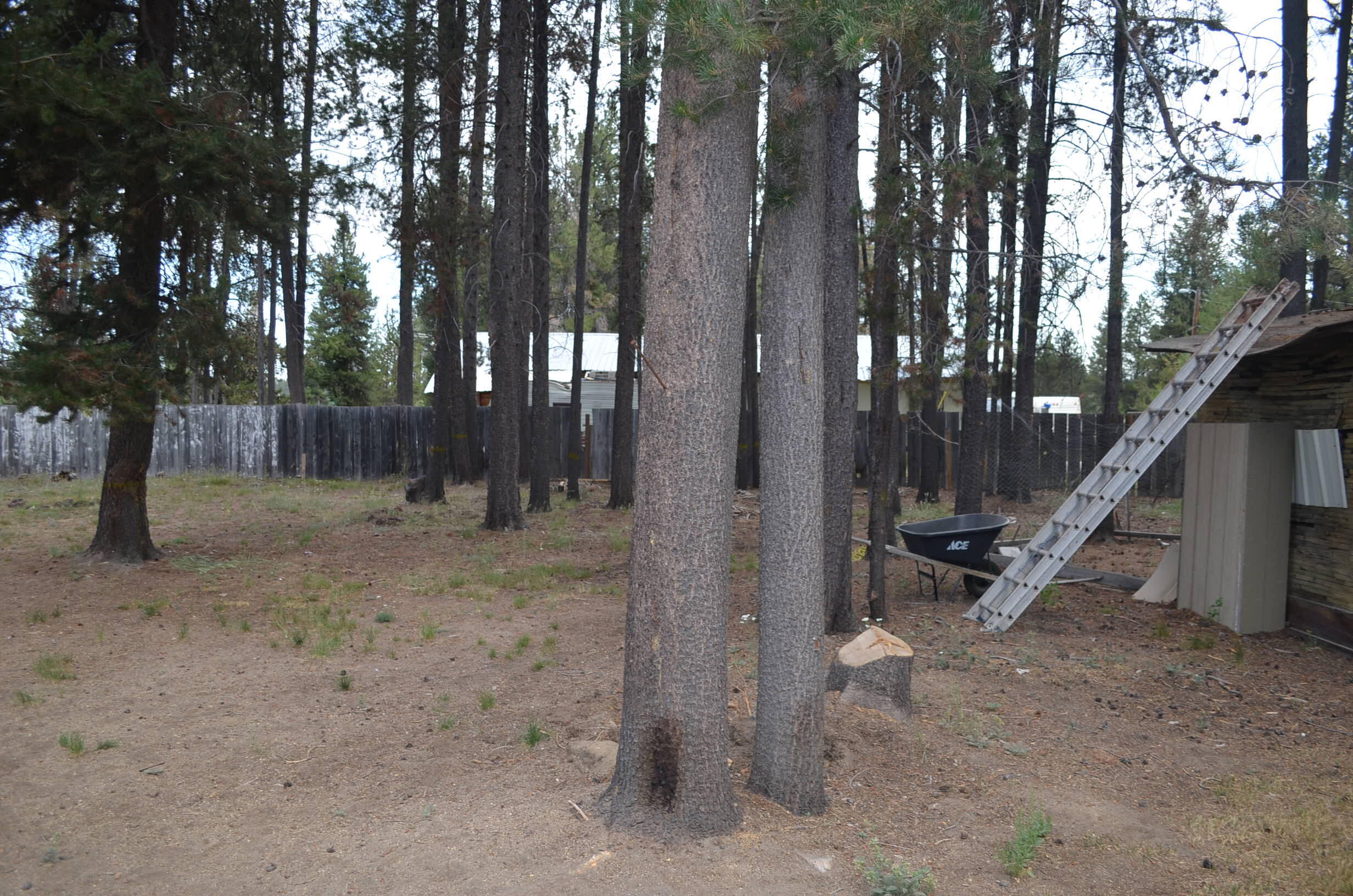 Crescent - Residential