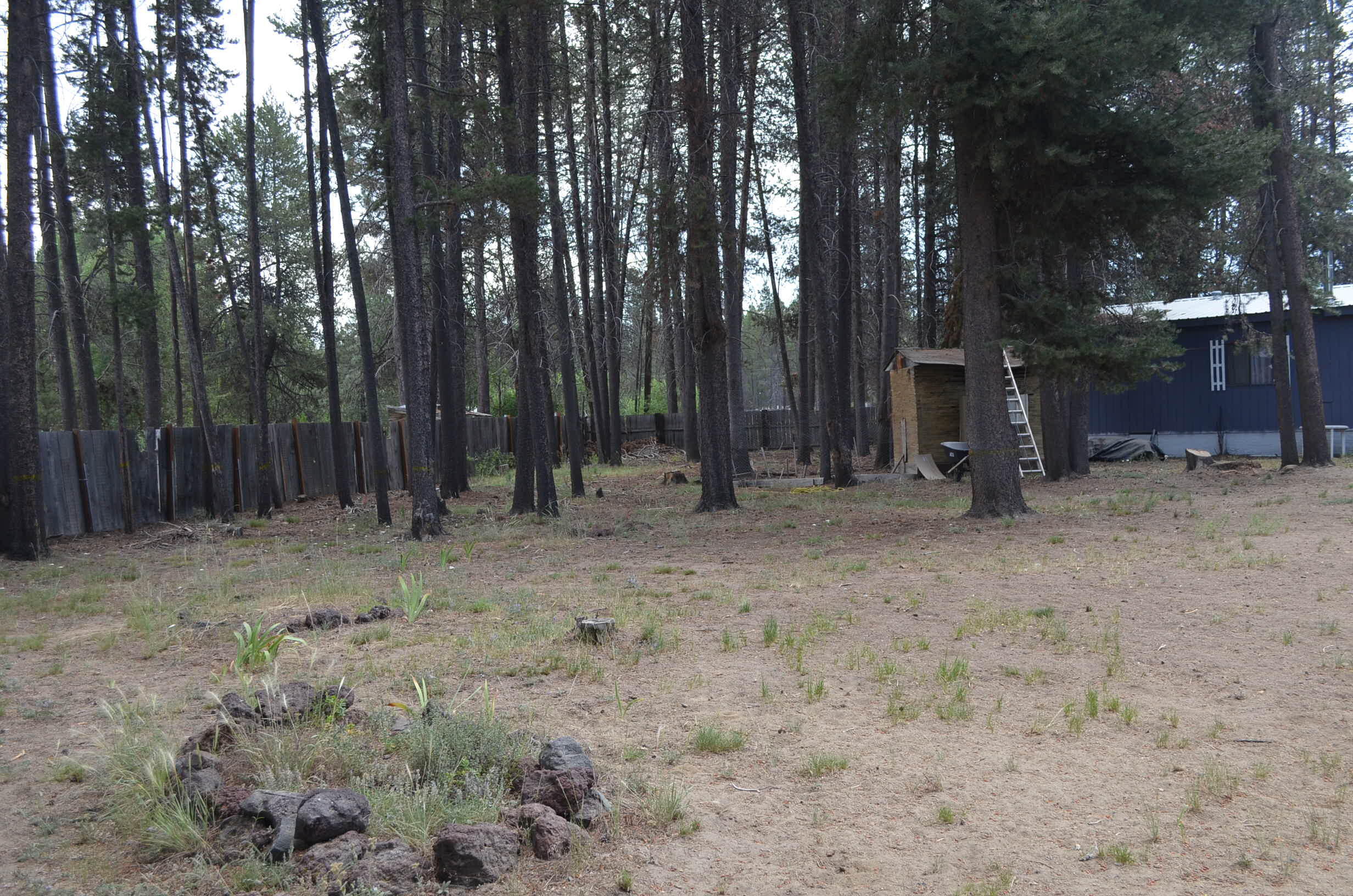 Crescent - Residential