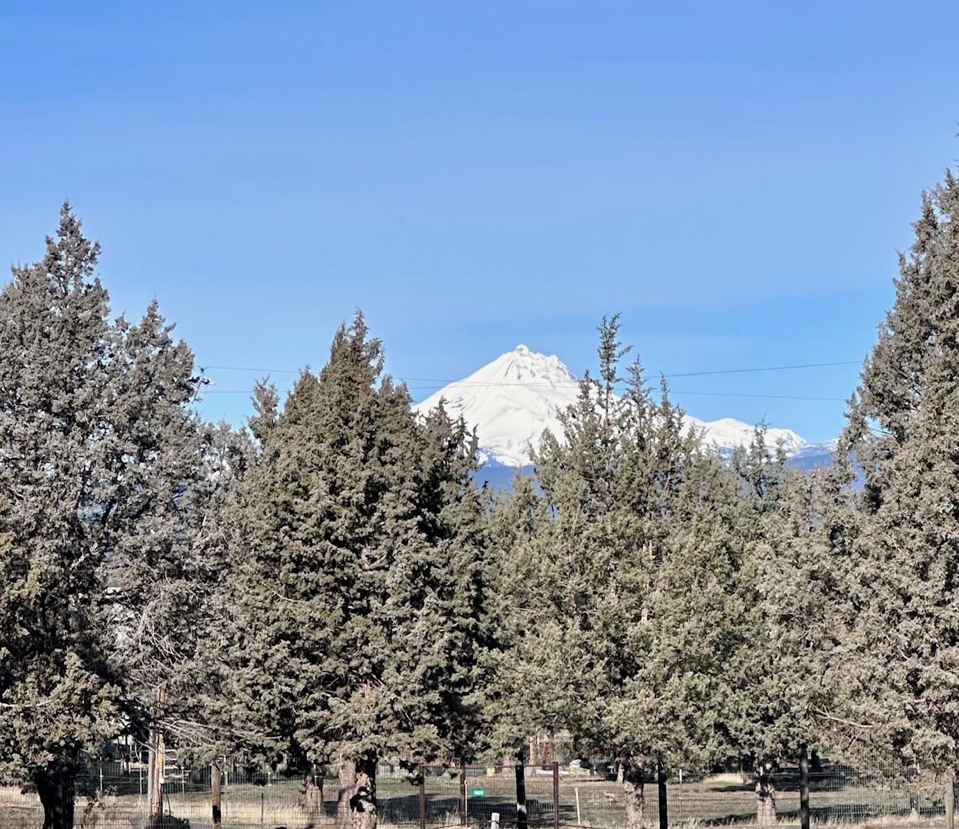 9065 SW Panorama Road