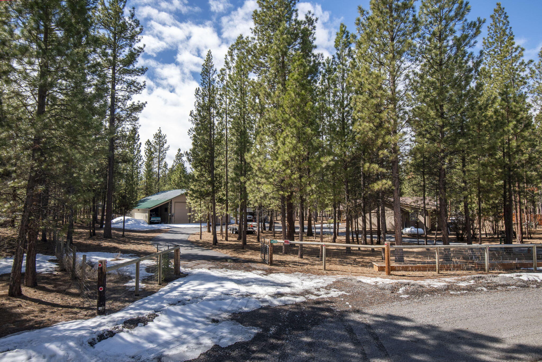 Ponderosa Pines - Residential