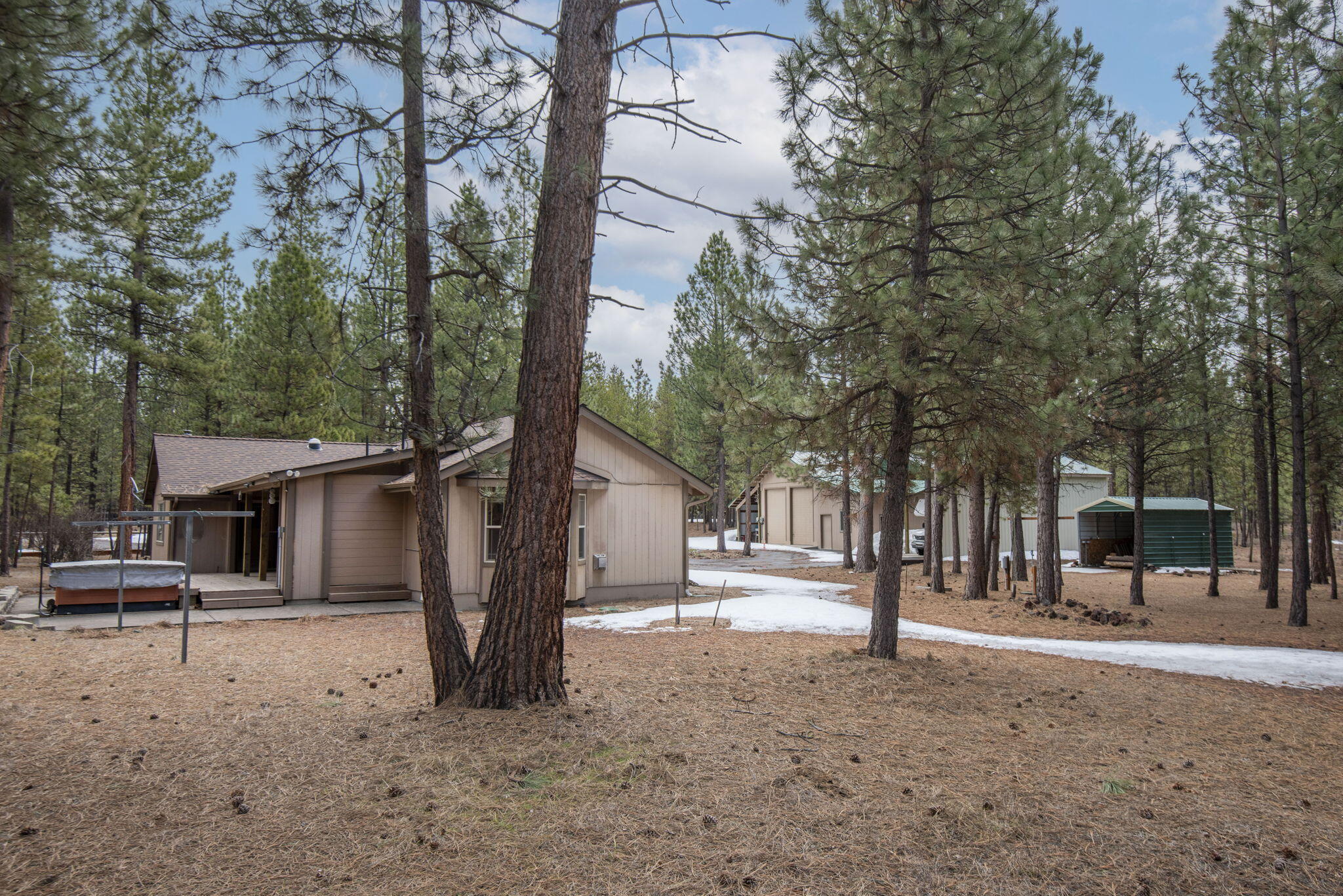 Ponderosa Pines - Residential