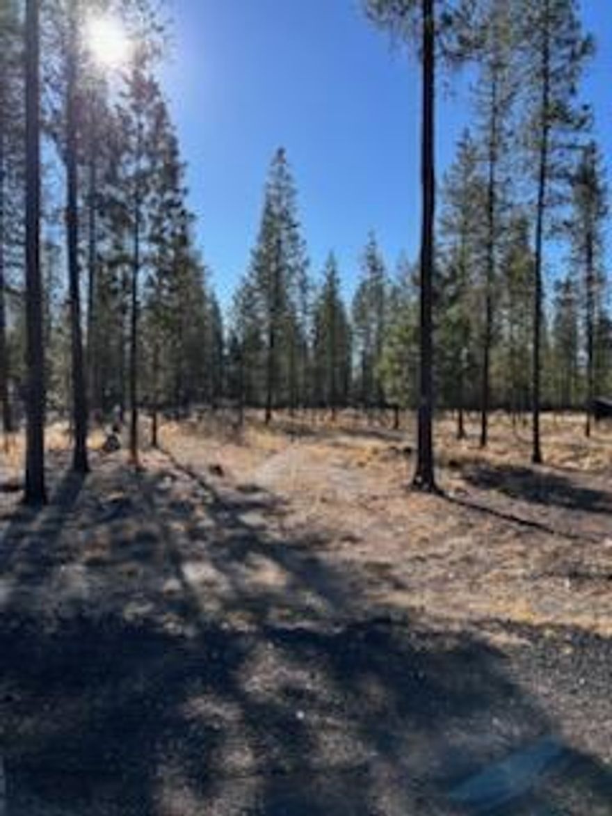 Ready-to-Build Lot with Exceptional Features.
This well-prepared lot is ready for your dream home! Featuring a fully-installed septic system and a new well with a reliable pump system, you'll enjoy excellent and abundant water supply year-around. The property has been professionally thinned and cleared of brush, ensuring a clean and accessible space to start building right away.  Located just 9 miles from the city of La Pine, you'll have easy access to a wide variety of amenities including shopping, dining, and more. Plus, enjoy the added benefit of low property taxes, making this an affordable and attractive option. Don't miss out on this perfect building site in a prime location!