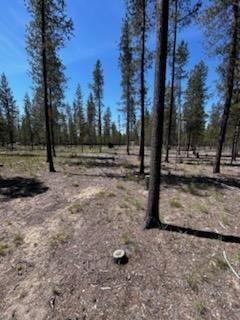 Sun Forest Estates - Land