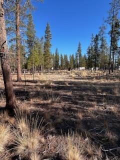 Sun Forest Estates - Land