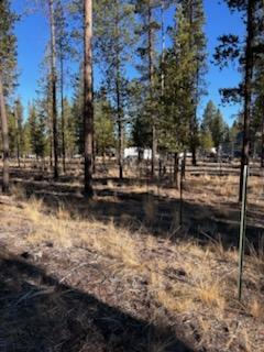 Sun Forest Estates - Land