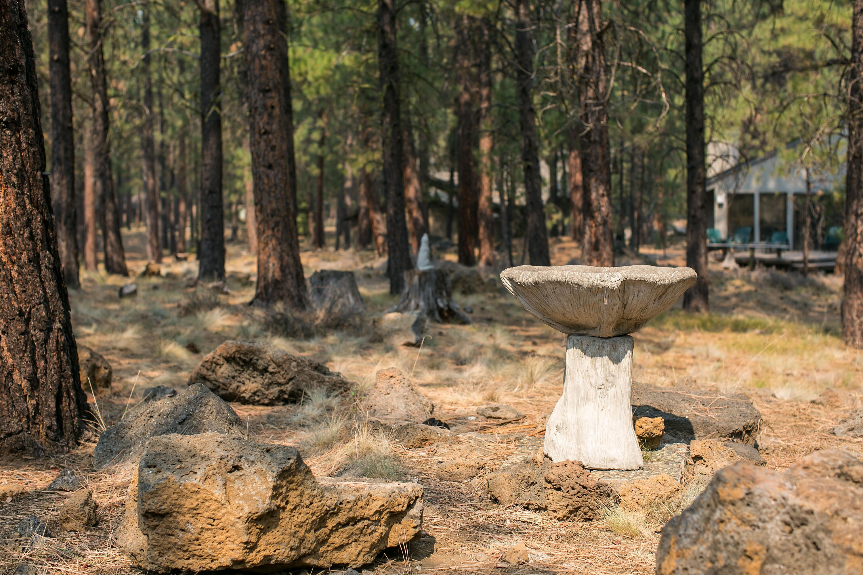 South Meadow - Residential