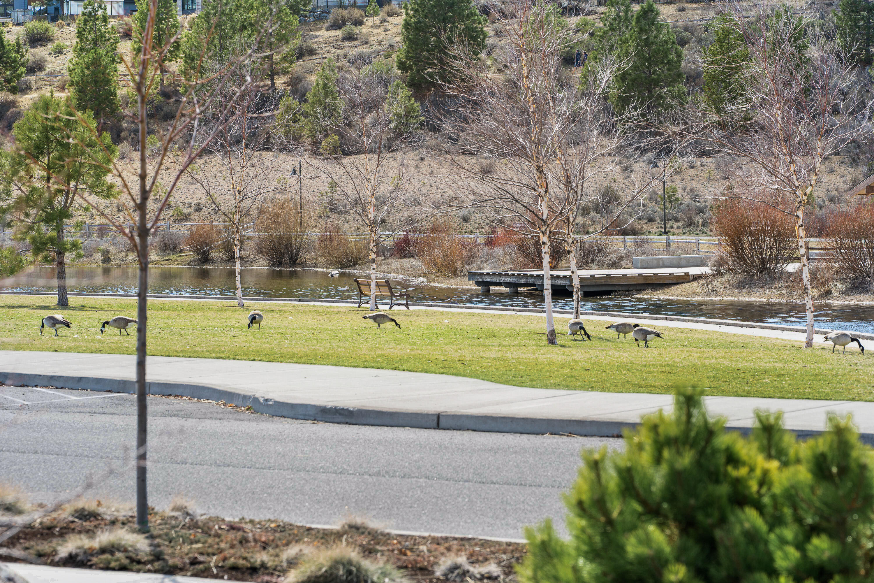 NorthWest Crossing - Residential