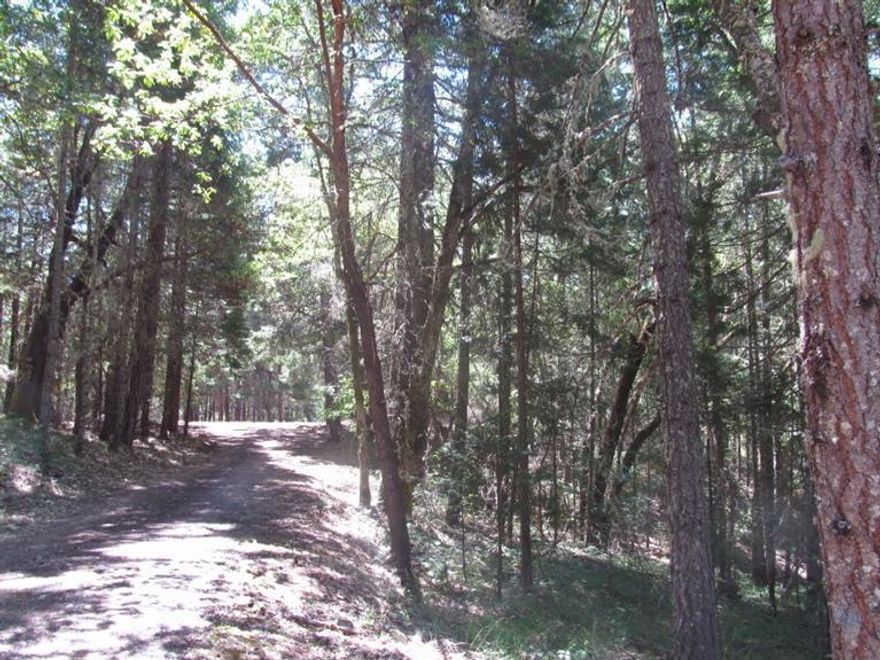 Land this magnificent rarely comes on the market for sale. This lush forest land is a magical blend of towering pine,fir,cedar and the most enormous madrone's you've ever seen.A four bedroom septic, power and well are located at the huge,established building area. The small 2 bedroom single wide is immaculate, liveable or rent able. An over grown trail system can be cleared to give access to this spectacular property. Much marketable timber. No drive by's, locked gate, vigilant caretaker on duty.Photo's do not convey the beauty of this wonderland.