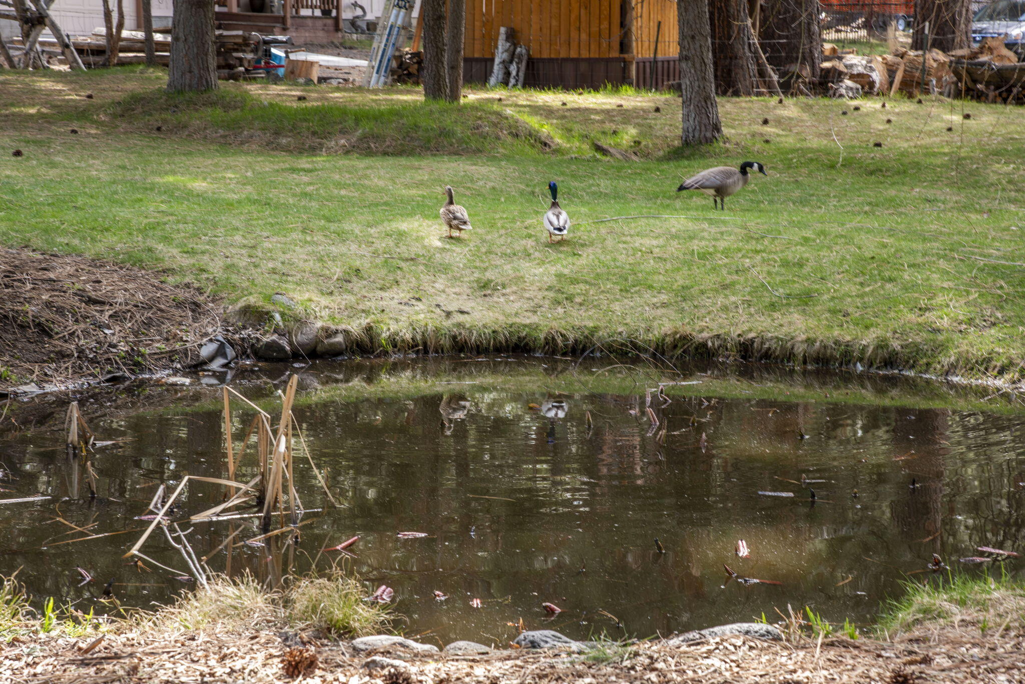 Deschutes RiverWoods - Residential