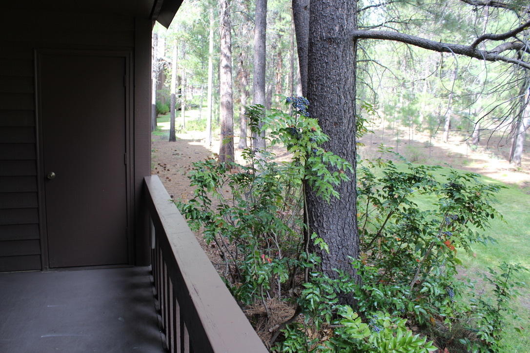 The Ridge - Residential