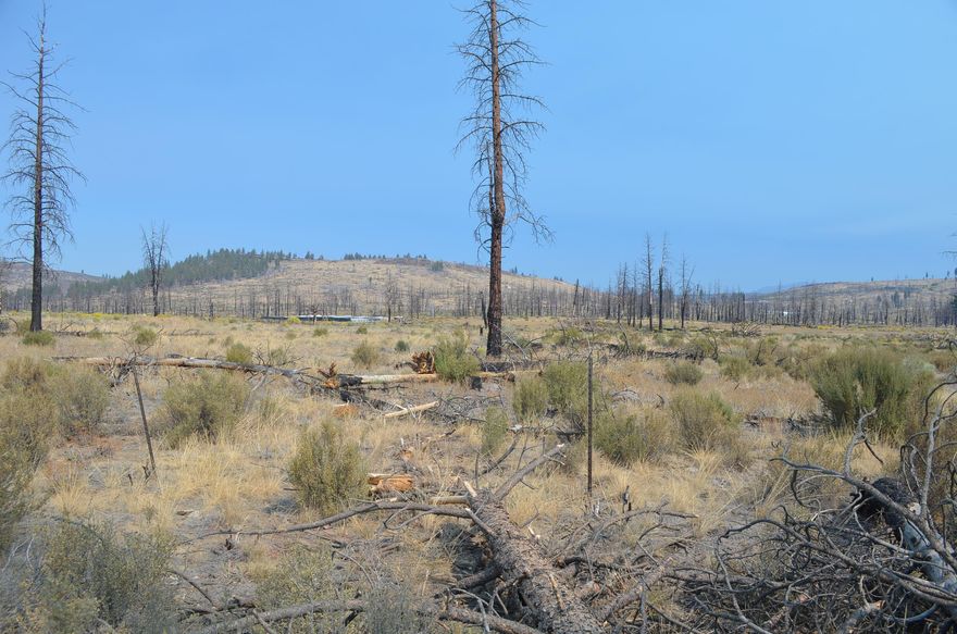 2.26 acre lot in the Klamath Forest Estates near town of Sprague River. Build your dream home or use as a get-away