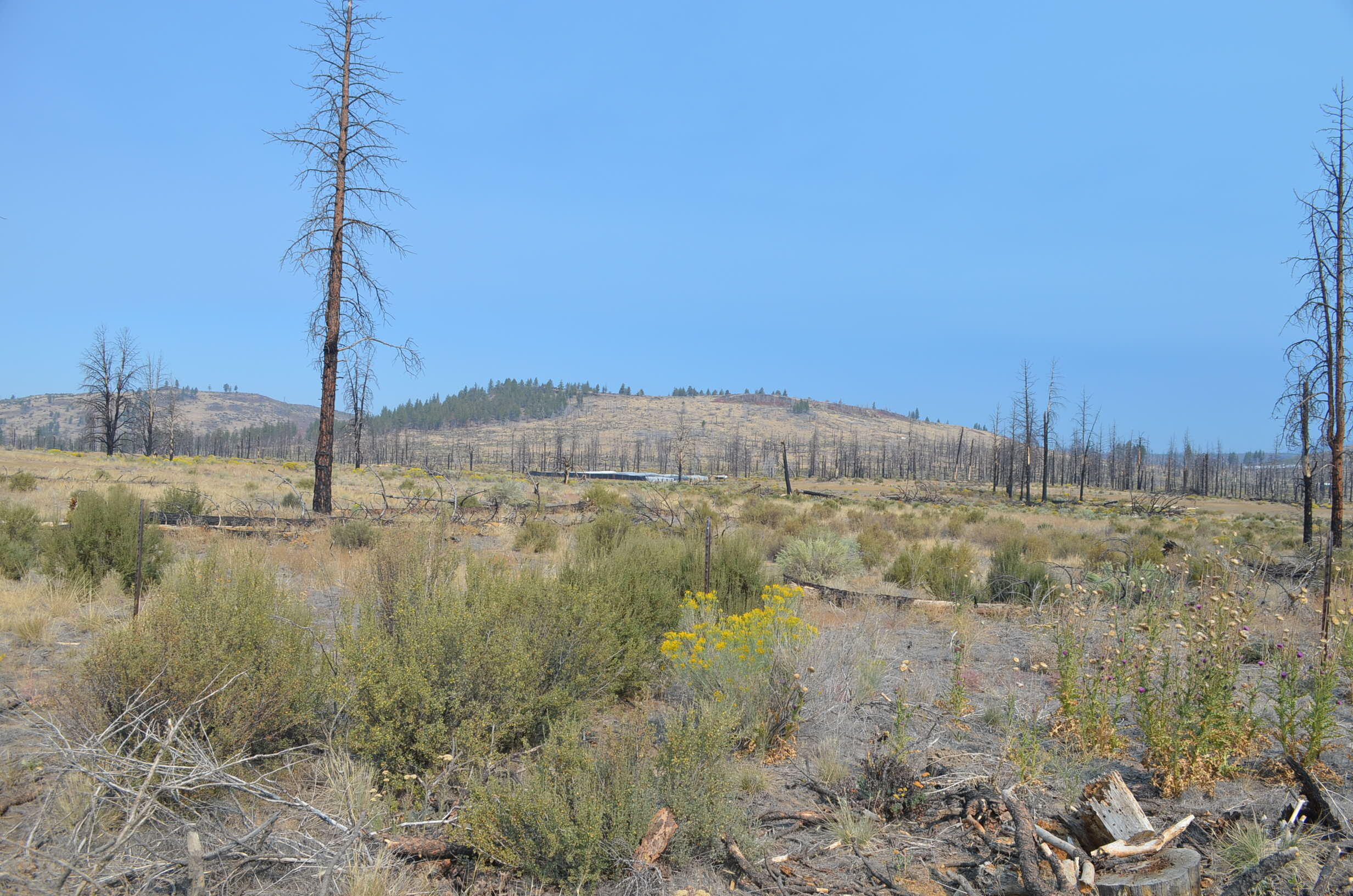 Klamath Forest Estates - Land