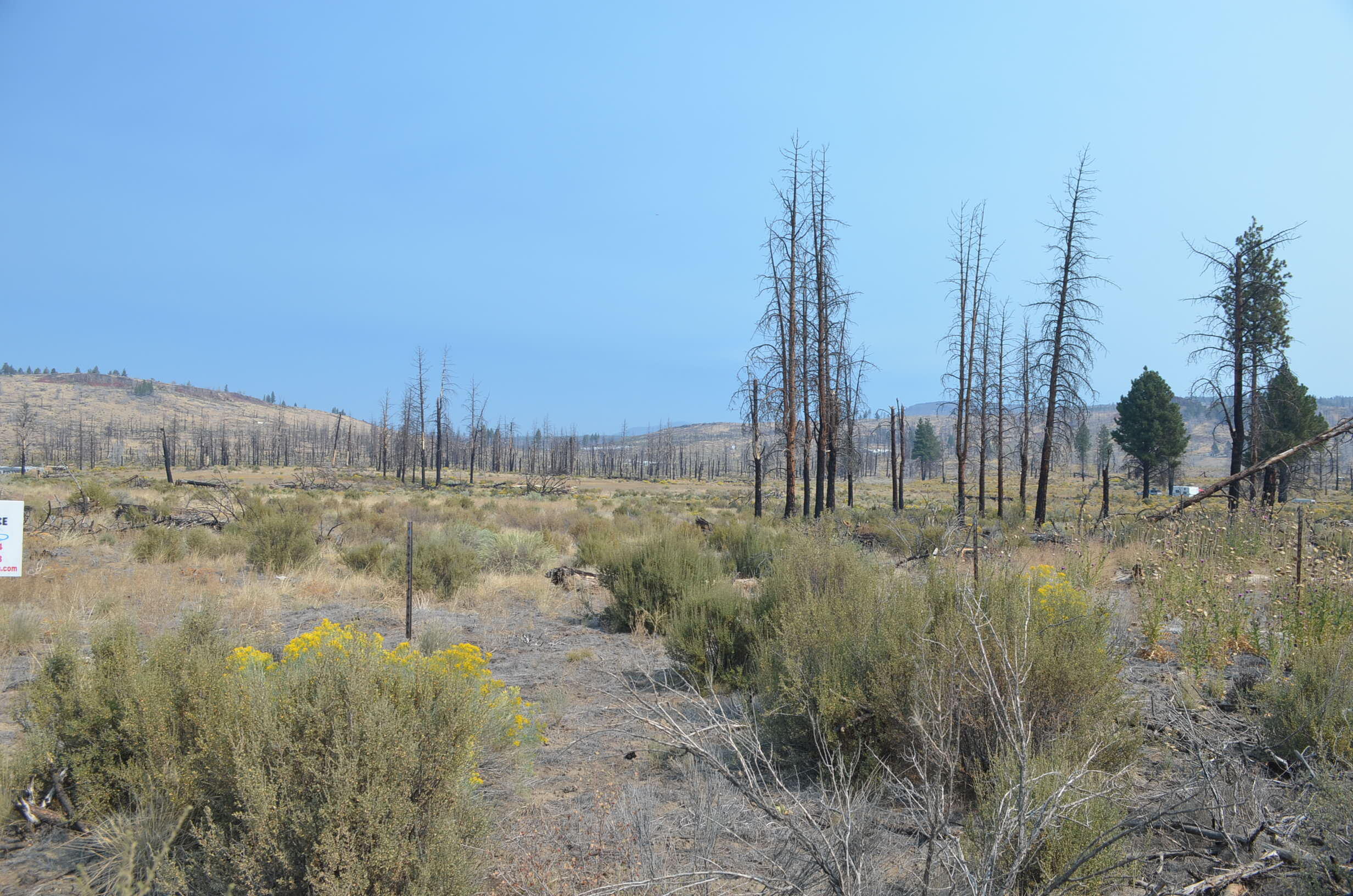 Klamath Forest Estates - Land