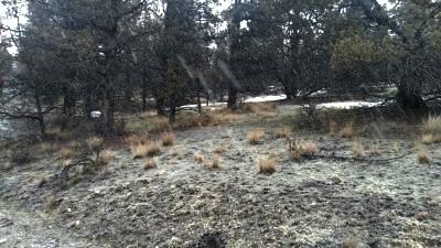 Golden Horseshoe - Land