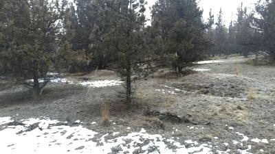 Golden Horseshoe - Land