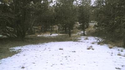 Golden Horseshoe - Land