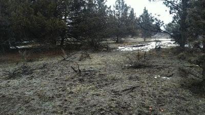 Golden Horseshoe - Land