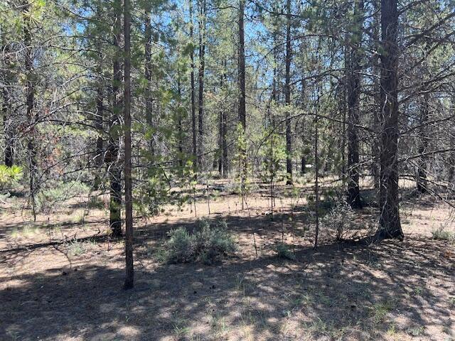 52266 PINE FOREST Drive LOT 6
