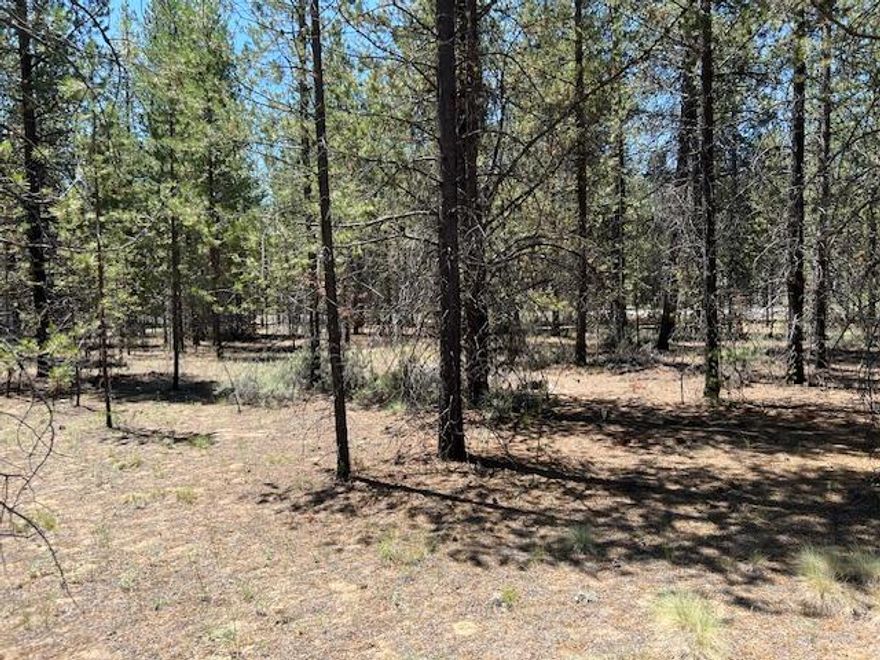 THIS RESIDENTIAL LOT IS BEING SOLD THROUGH A FAMILY ESTATE. ACREAGE IS APPROX. 1.27 ACRES. LANDSCAPE IS LEVEL, TREED. DRIVEWAY IS ACCESSIBLE FROM COUNTY PAVED ROAD. NEIGHBOR HOOD SETTING.
