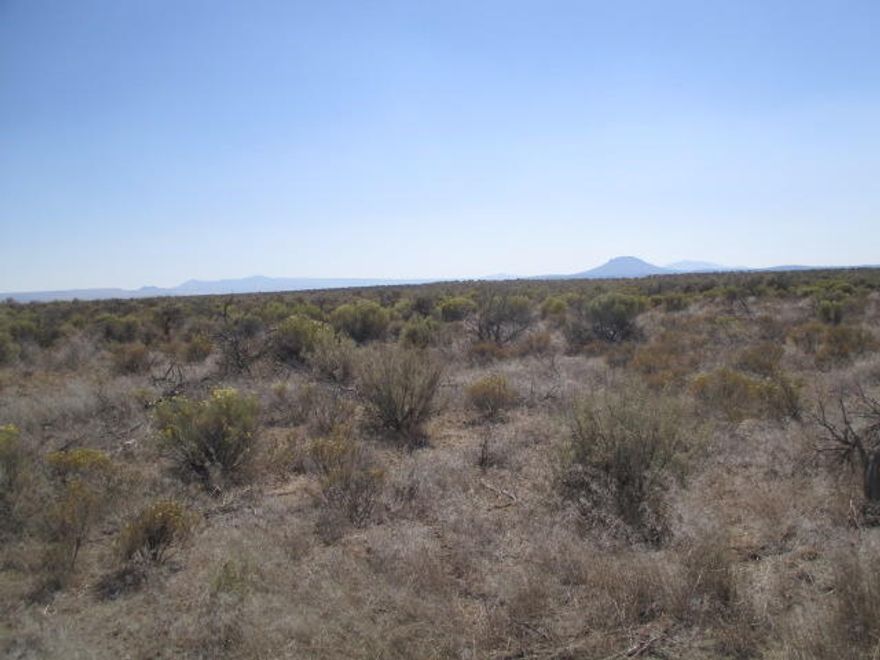 About 80 acres waiting for your ideas. Beautiful panoramic views of the mountains and high desert. Power on the north side and about a half a mile off pavement. Conditional Use Permit likely required to build. Buyer do your due diligence. Enjoy the high desert, wildlife, sunsets and more not to far from town where you can grab supplies, groceries, have a meal at one of the local restaurants and more. Public and private school available.