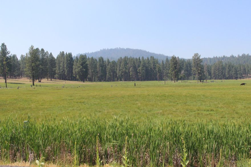 Pasture-Grazing Ranch-just what we all want!  308 acres with 141 acres of water rights from your own private irrigation well and Copperfield Creek.  These hard to find ranches boast not only productivity for the cattleman/cattlewoman but also aesthetically pleasing with scattered pines and USFS out your back door.   Private yet easy access and close to the town of Chiloquin.   Pole hay barn, historic livestock barn with metal roof. metal shop/garage, working corrals, chute and outside arena.   1673 sq ft home with 3 bedrooms and 1.5 baths.  Wonderful fireplace with vintage artifacts embedded.  Natural spring by the house with quaking aspens.  Call for appointment to see,