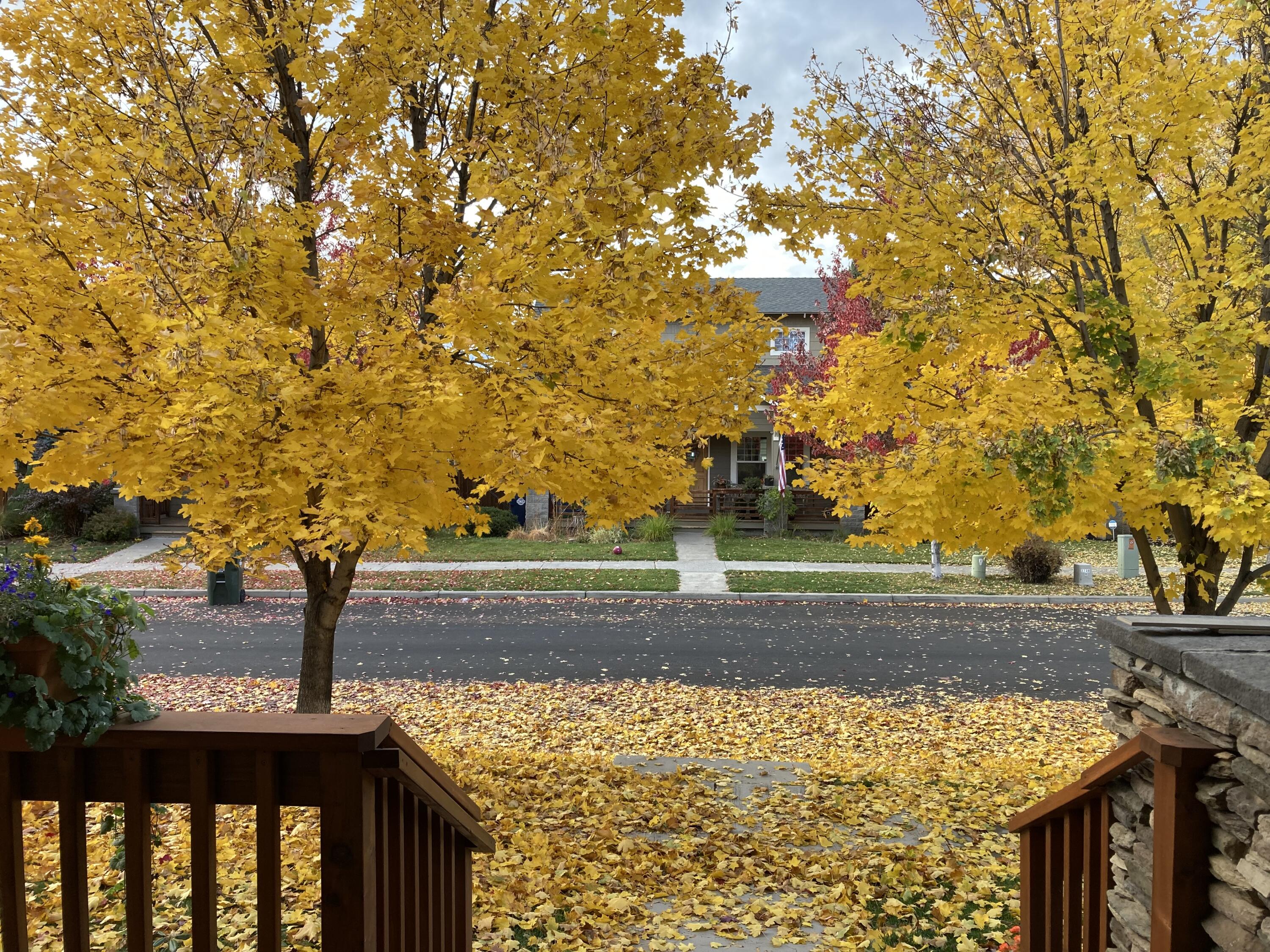 Oakview - Residential